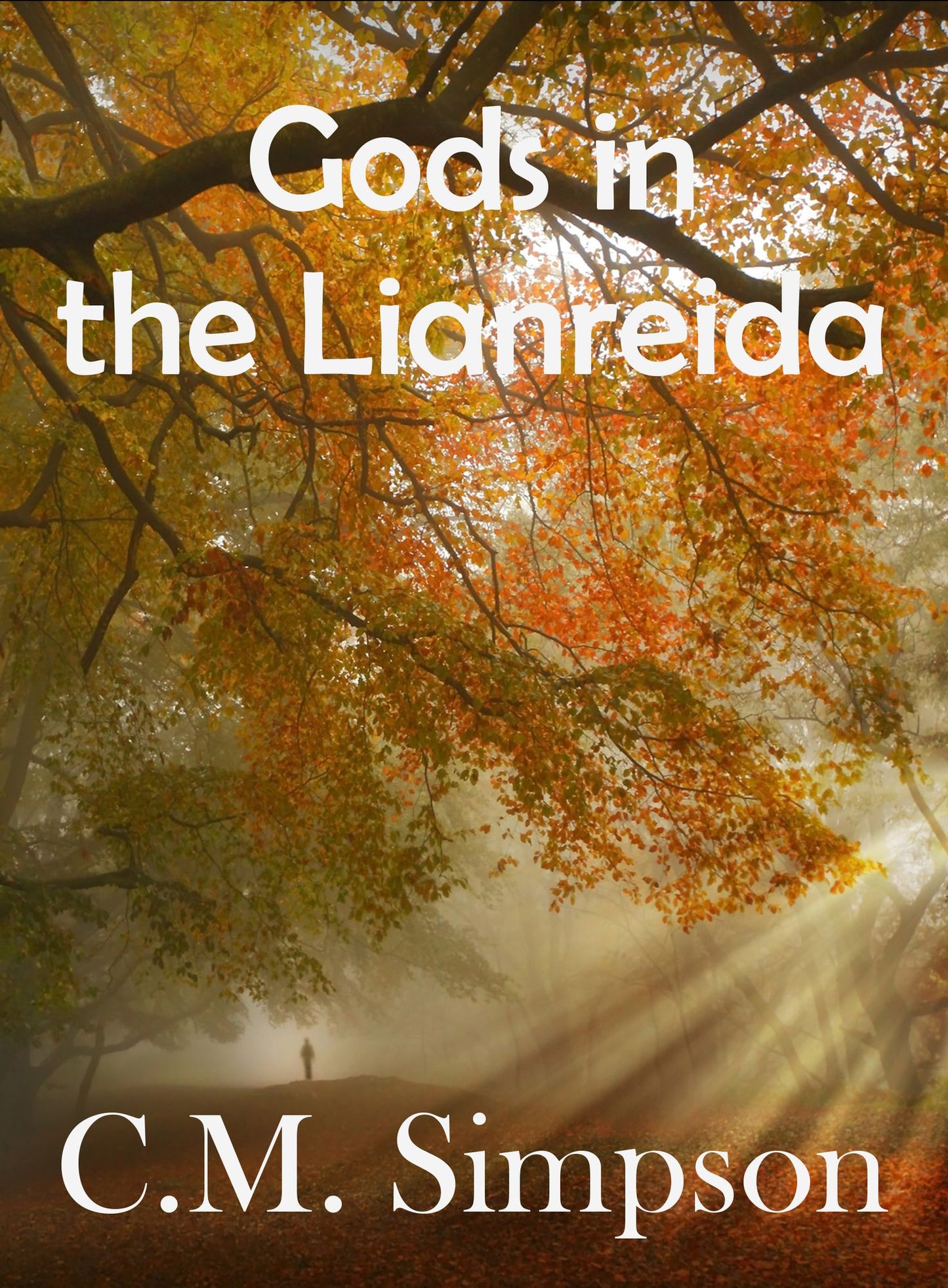 Gods in the Lianreida