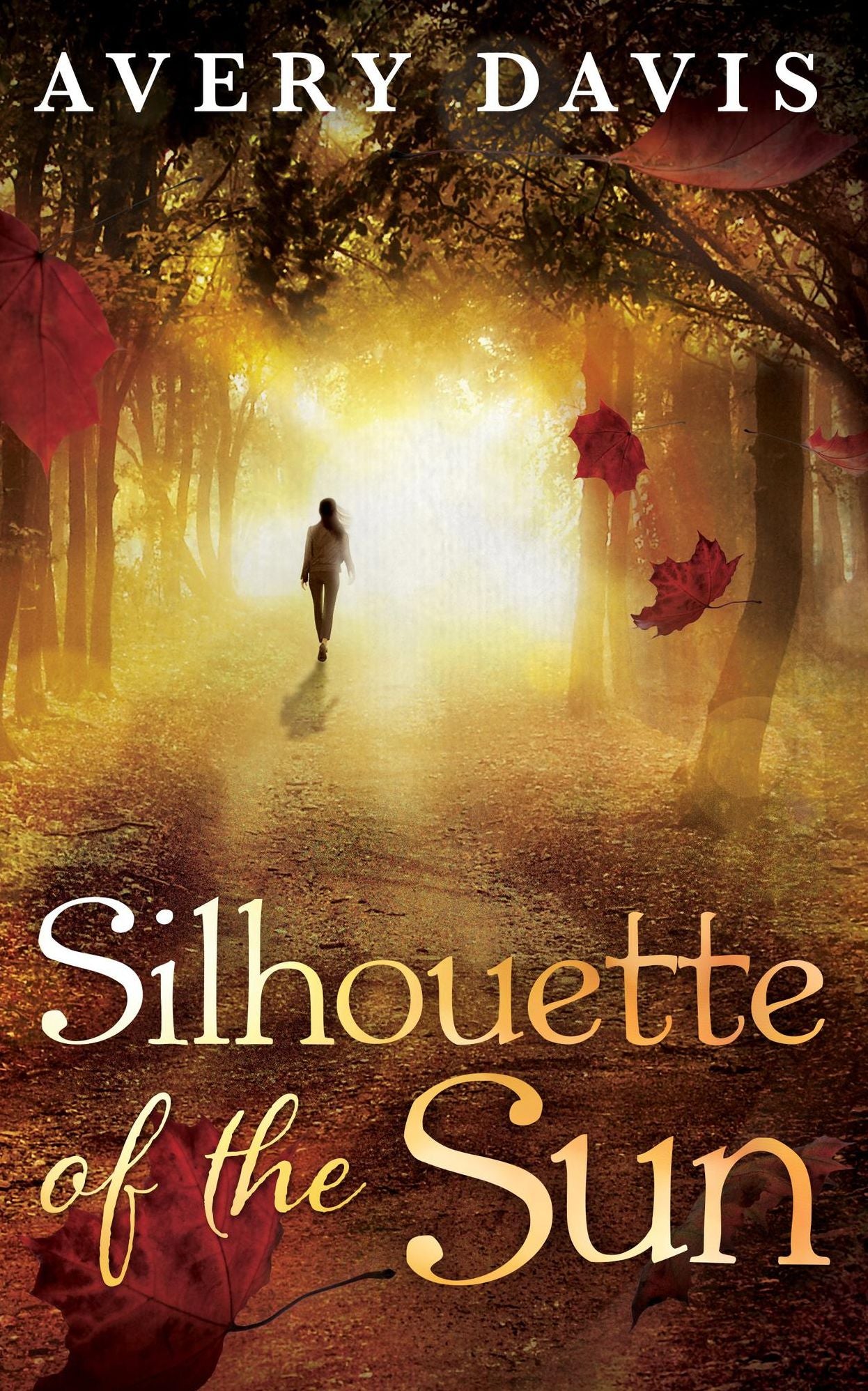 Silhouette of the Sun