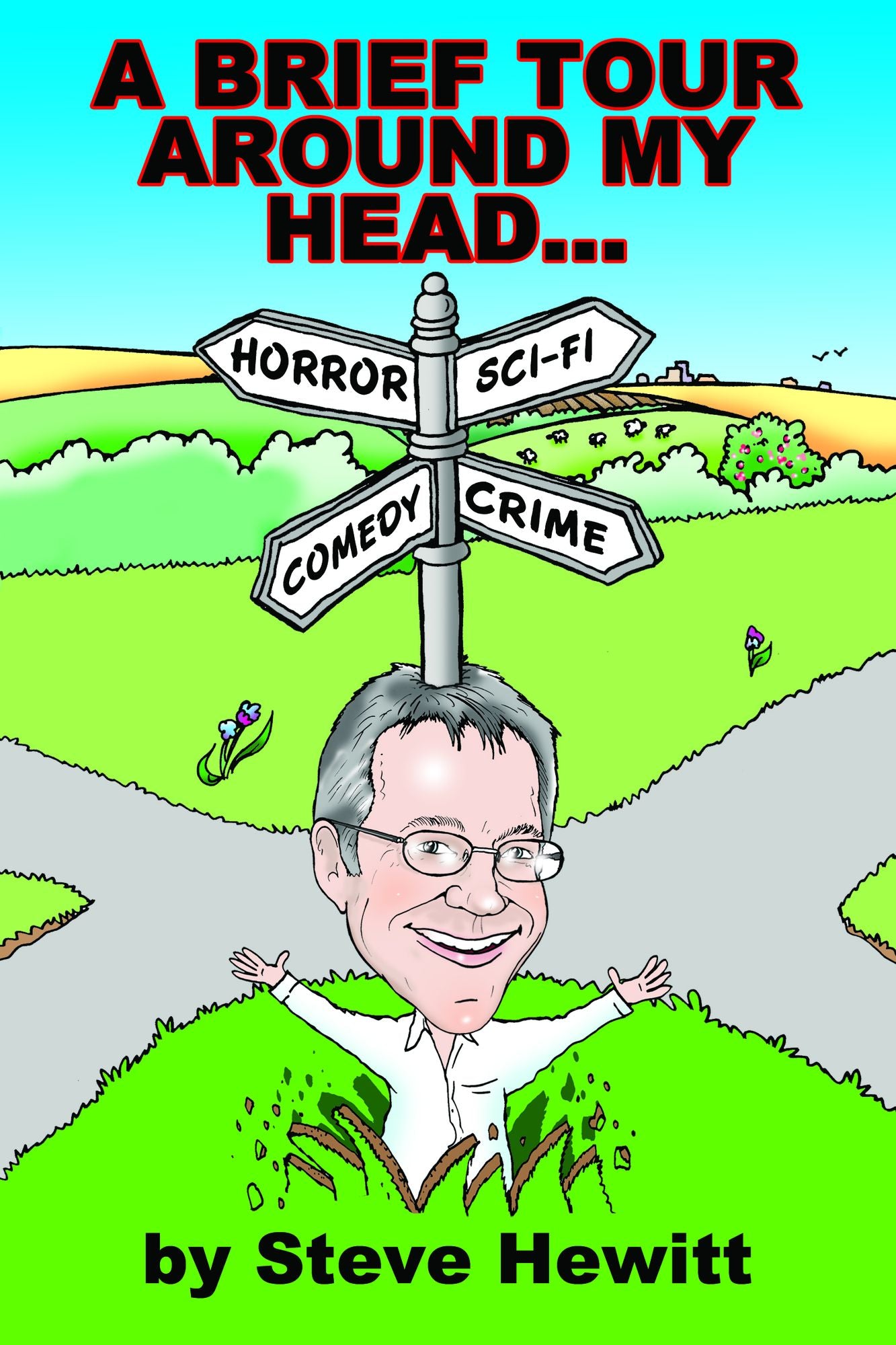 A Brief Tour Around My Head