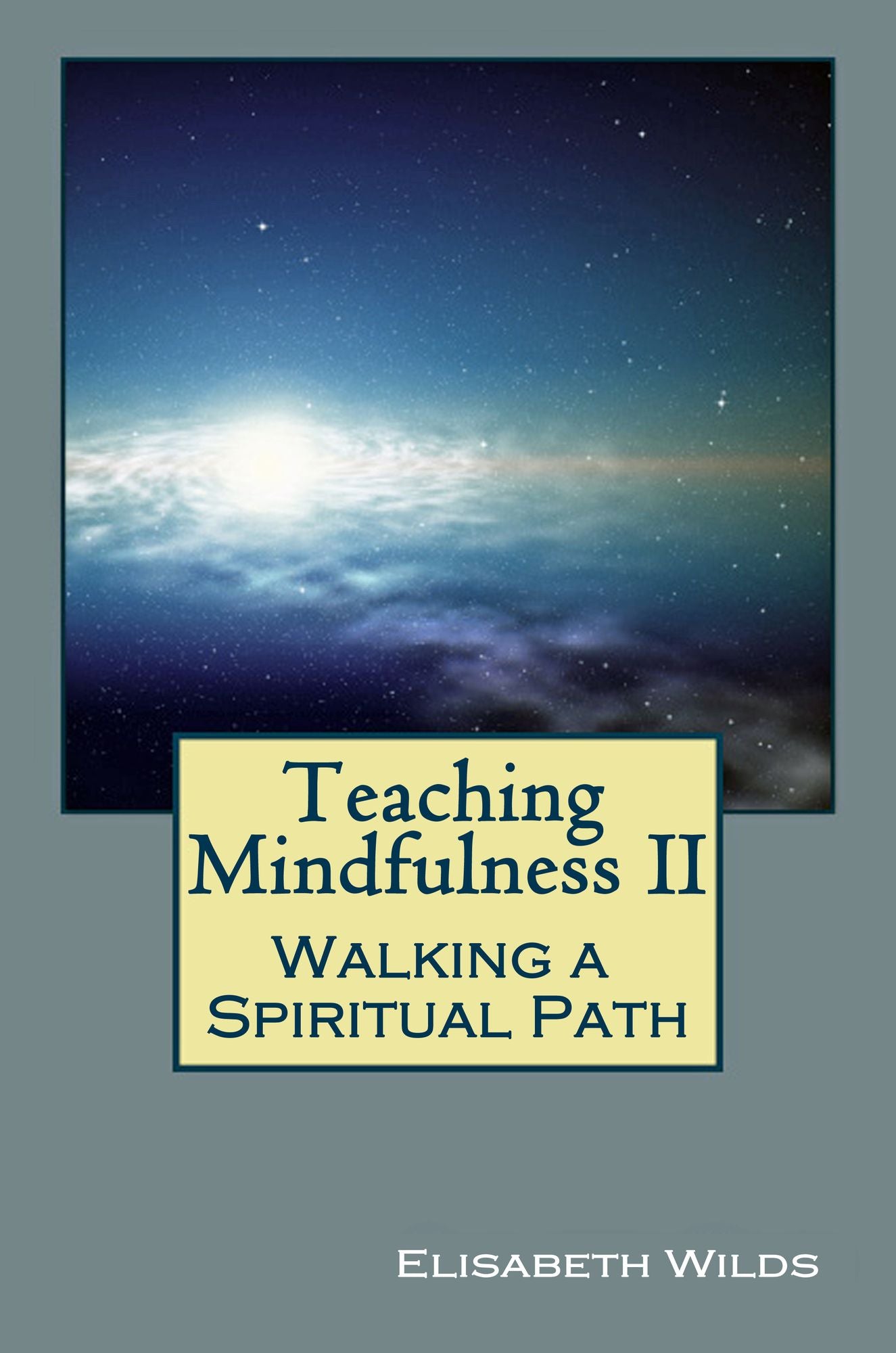 Teaching Mindfulness II: Walking A Spiritual Path