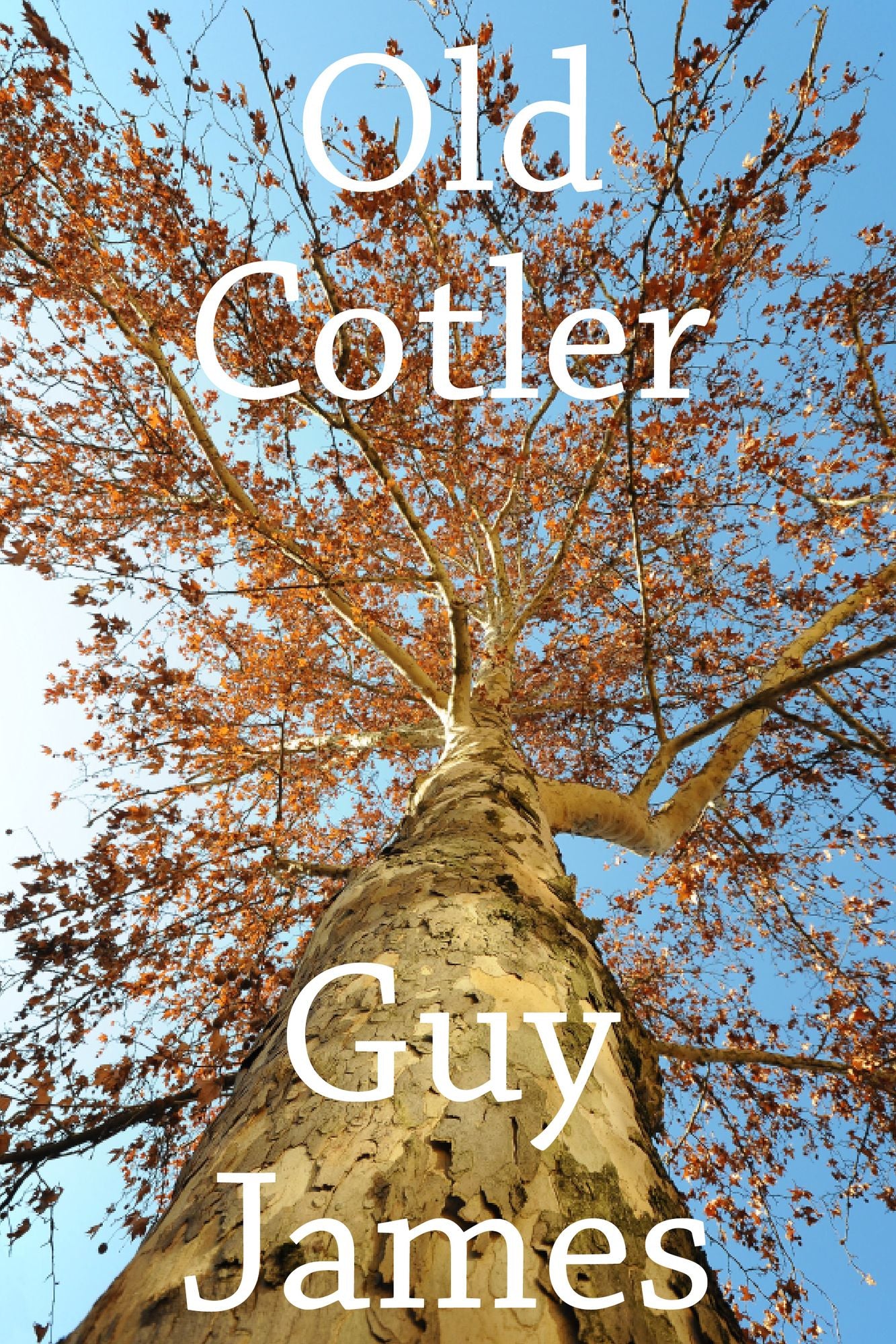 Old Cotler: A Short Thriller