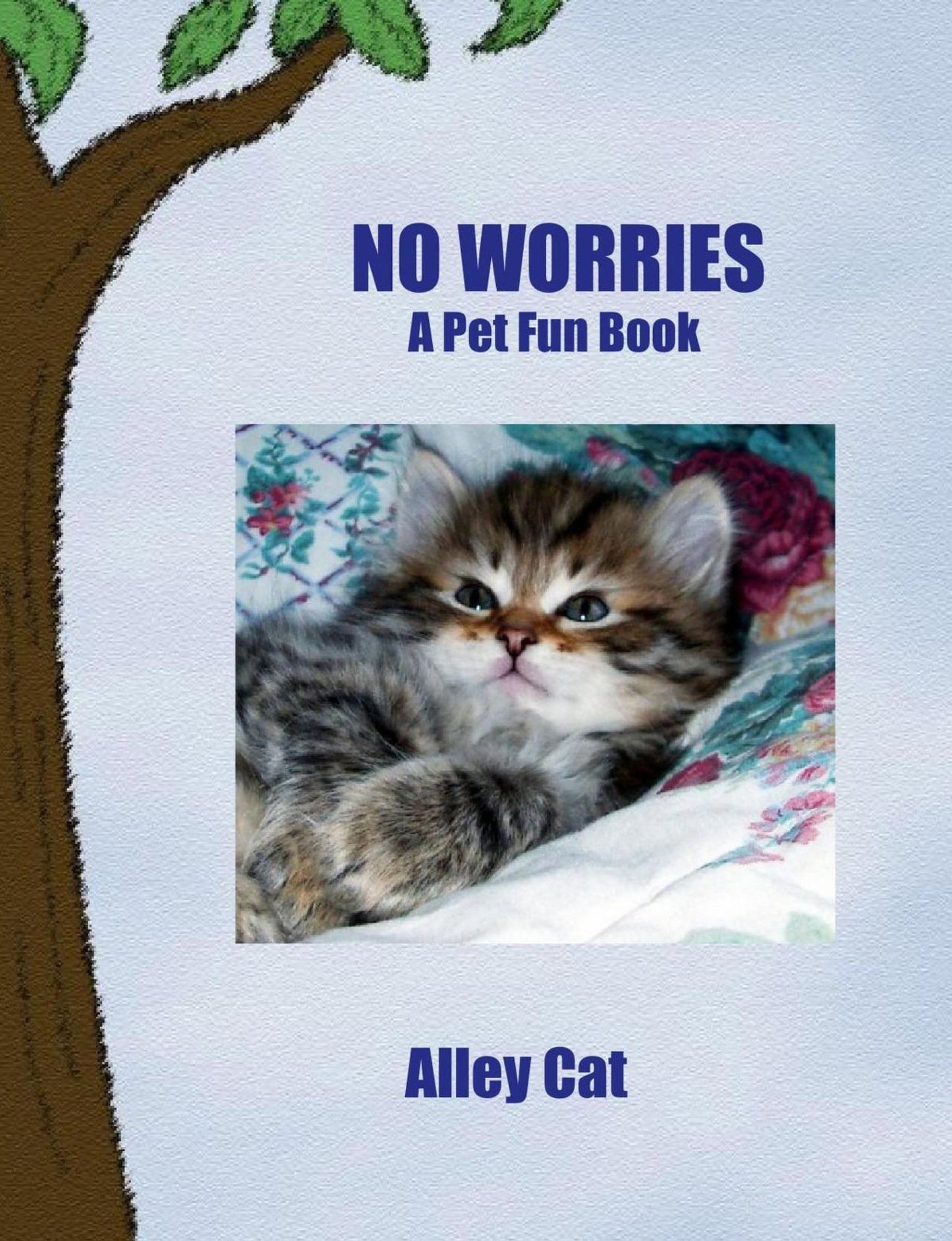 No Worries