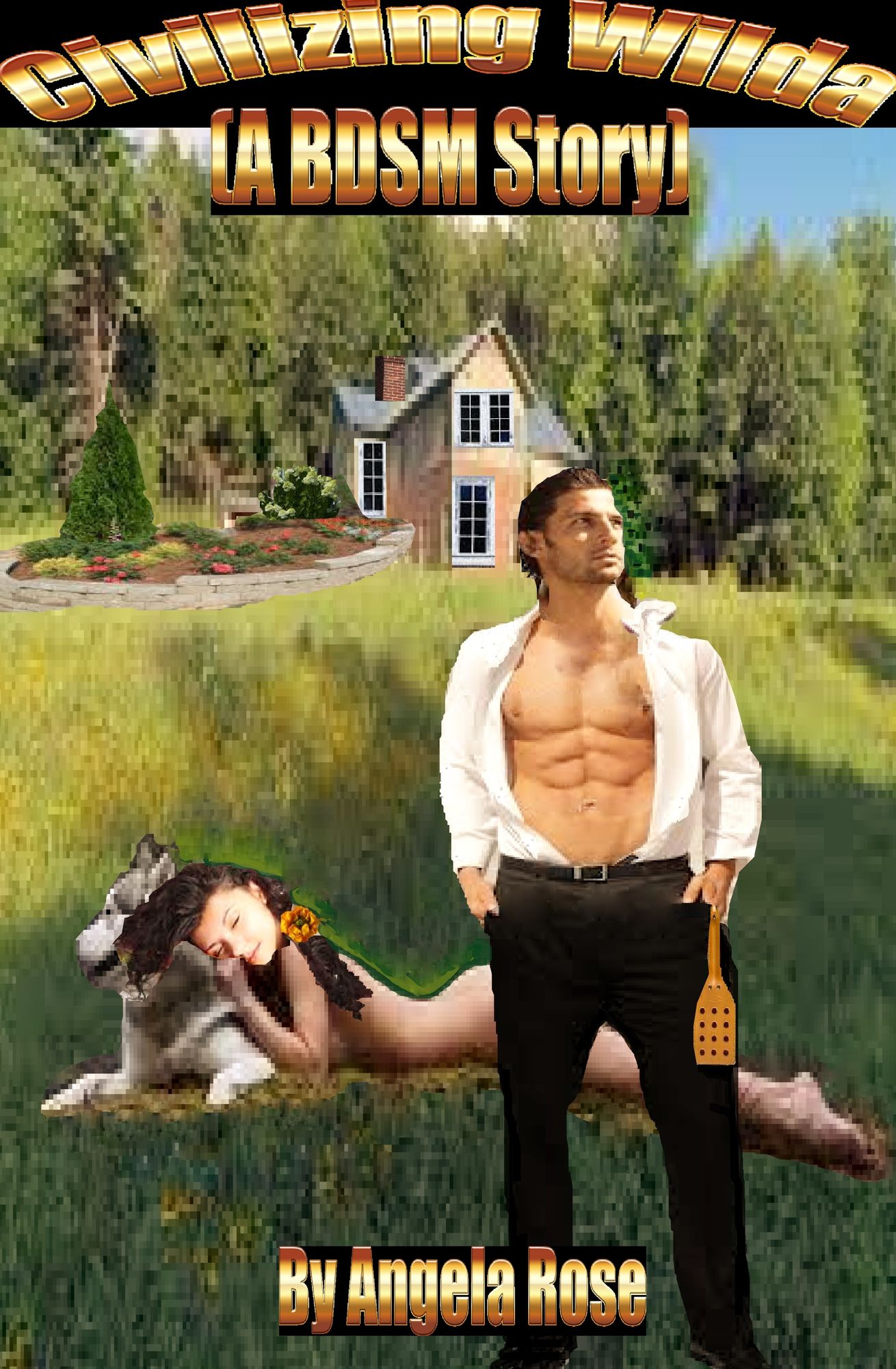 Civilizing Wilda ( A BDSM Story)