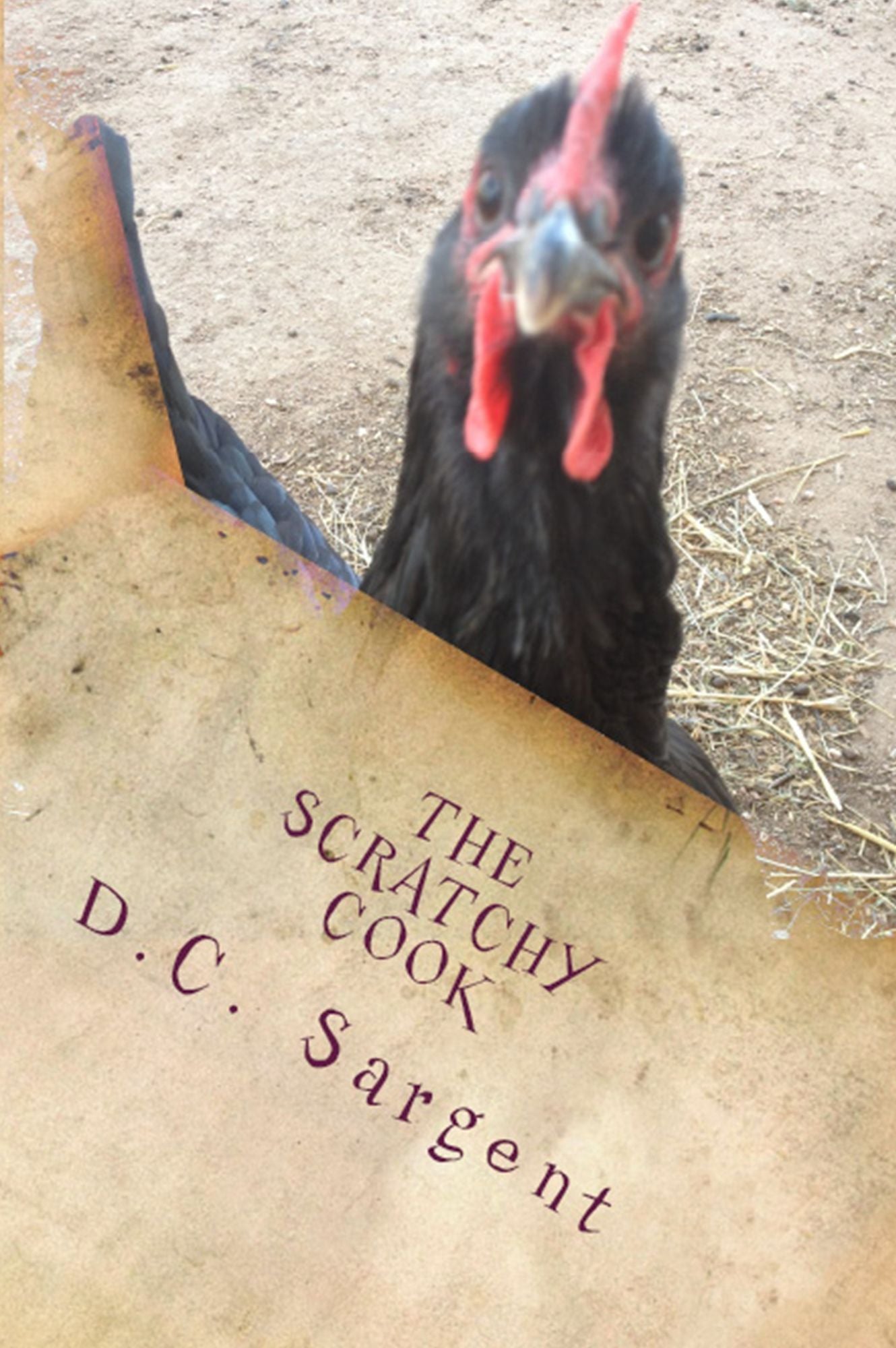The Scratchy Cook: Simple Homemade Cooking