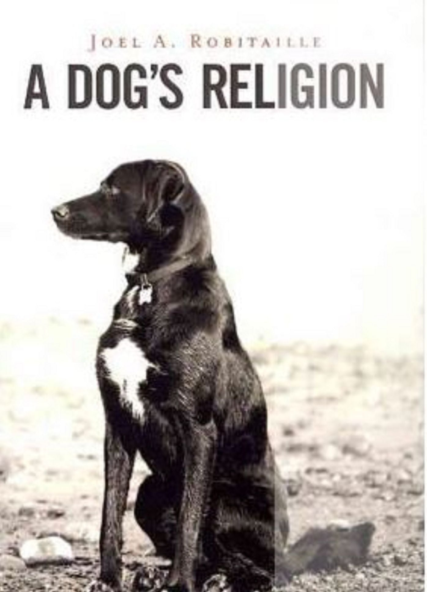A Dog's Religion