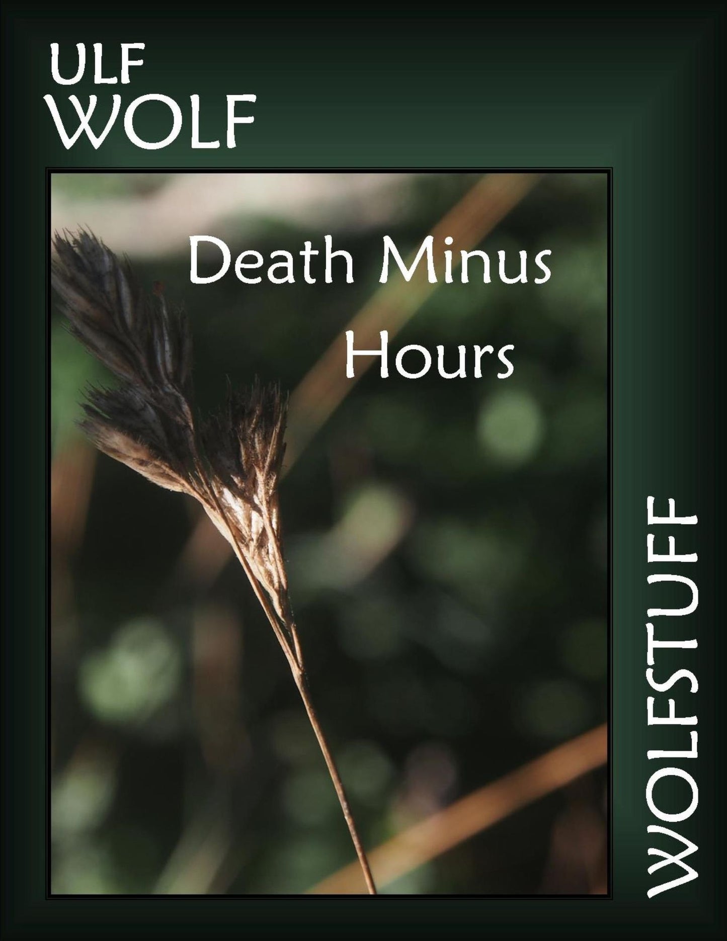 Death Minus Hours