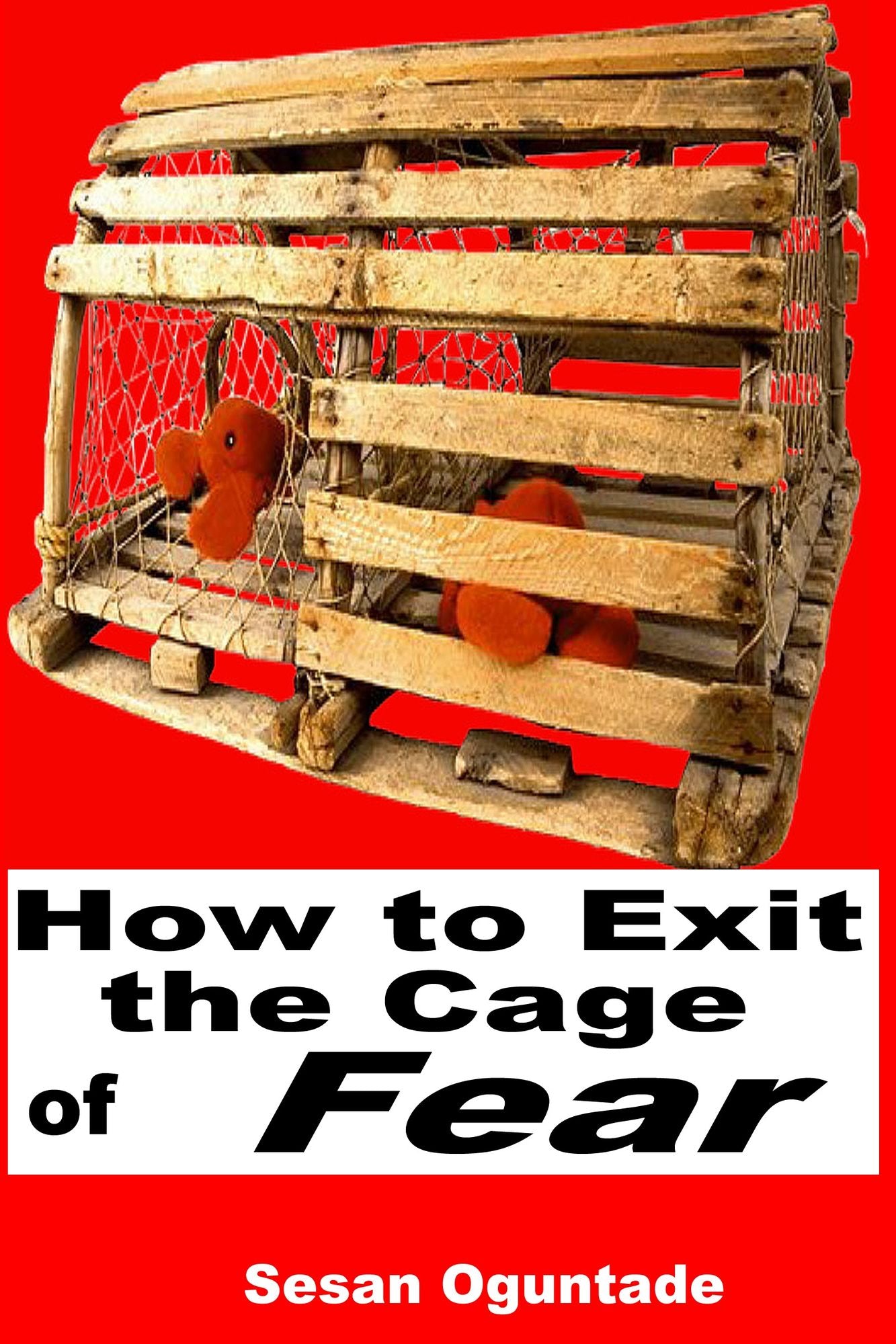 How To Exit The Cage of Fear