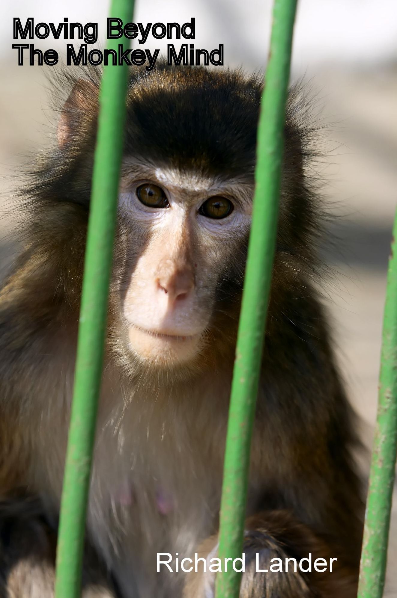 Moving Beyond The Monkey Mind