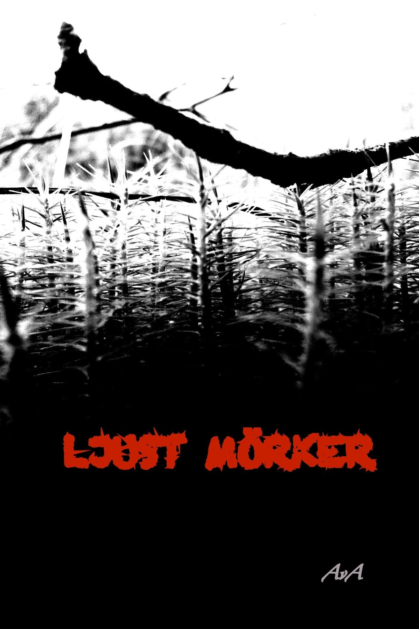 Ljust Mörker