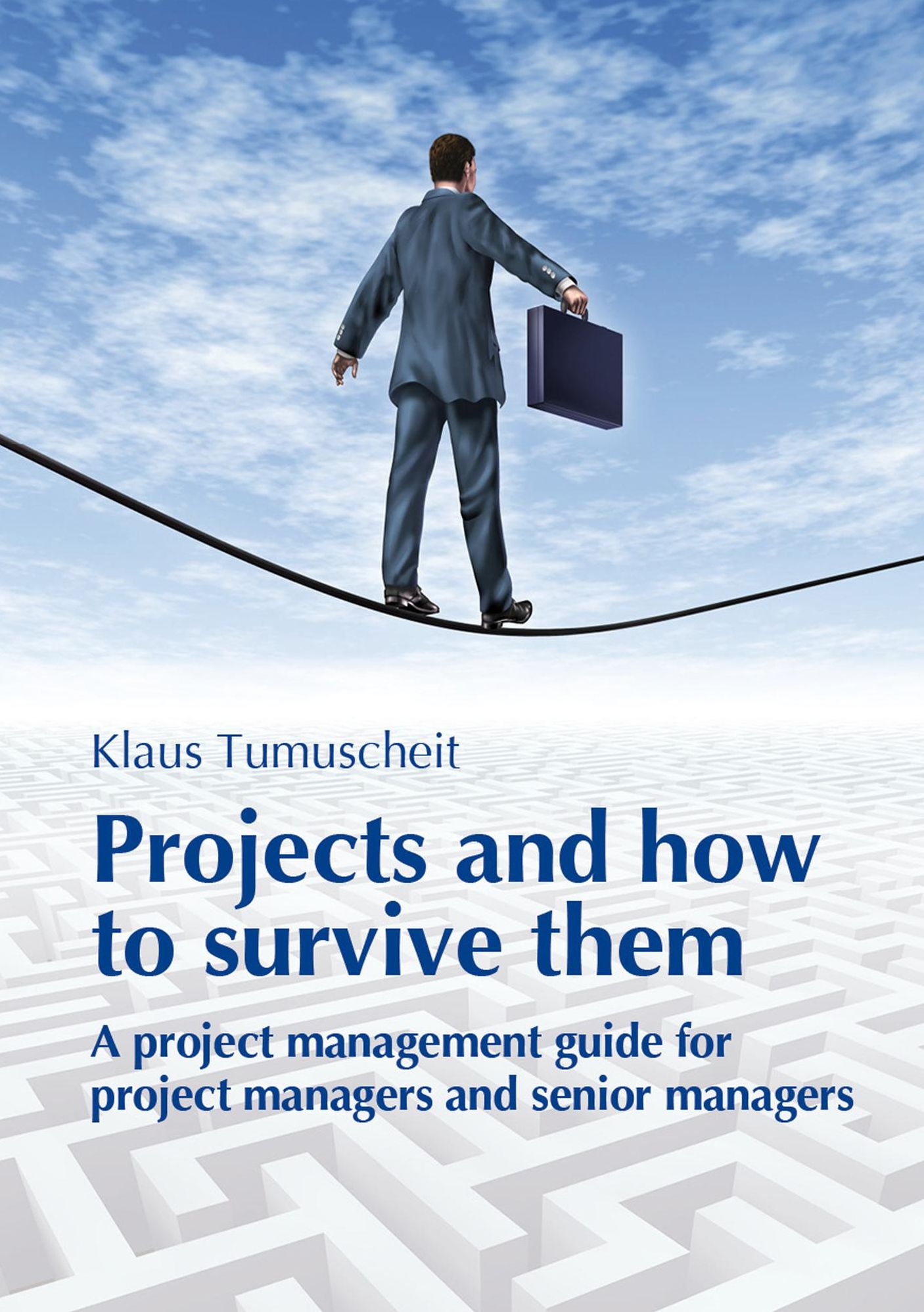Projects And How To Survive Them