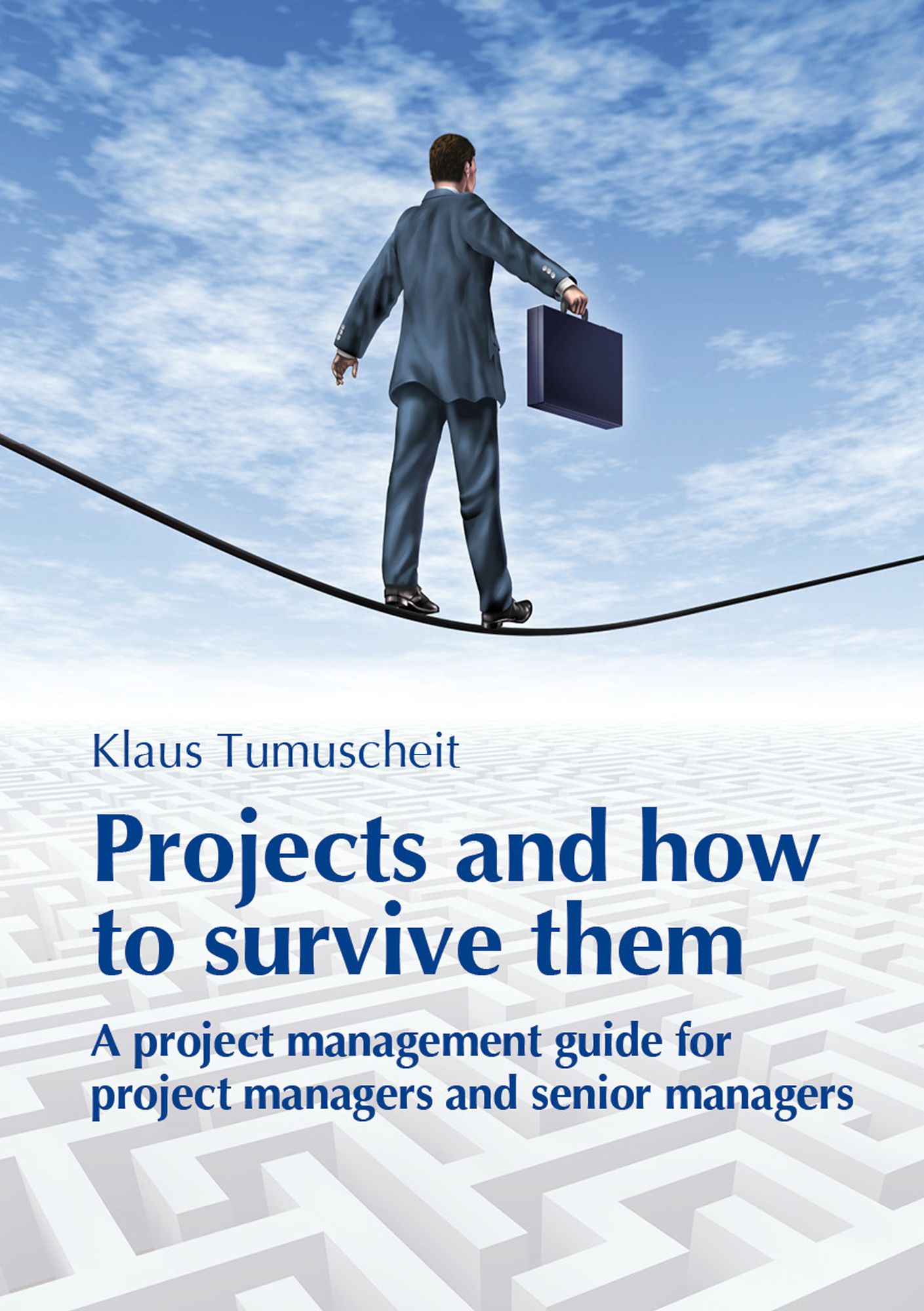 Projects And How To Survive Them