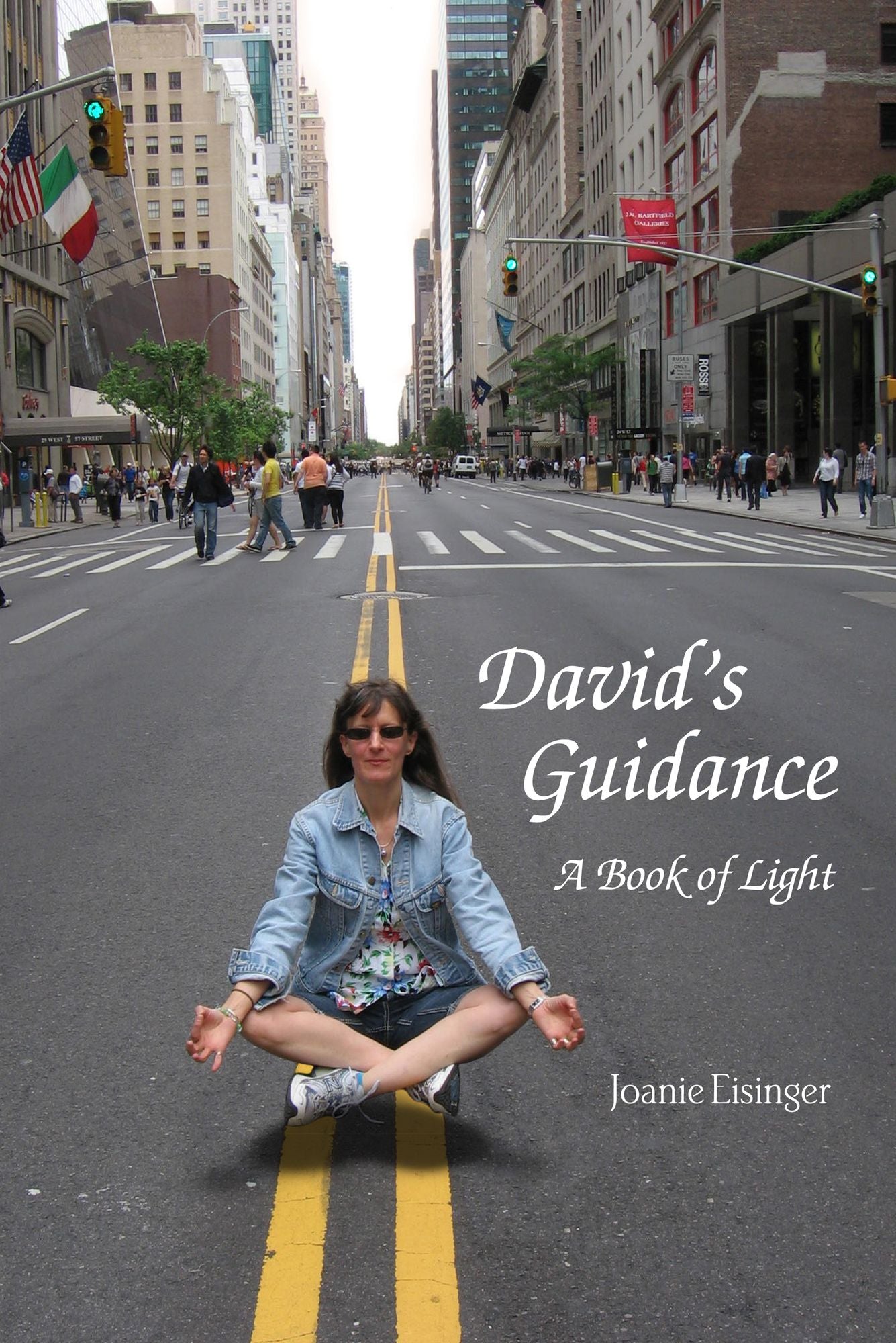 David's Guidance: A Book of Light