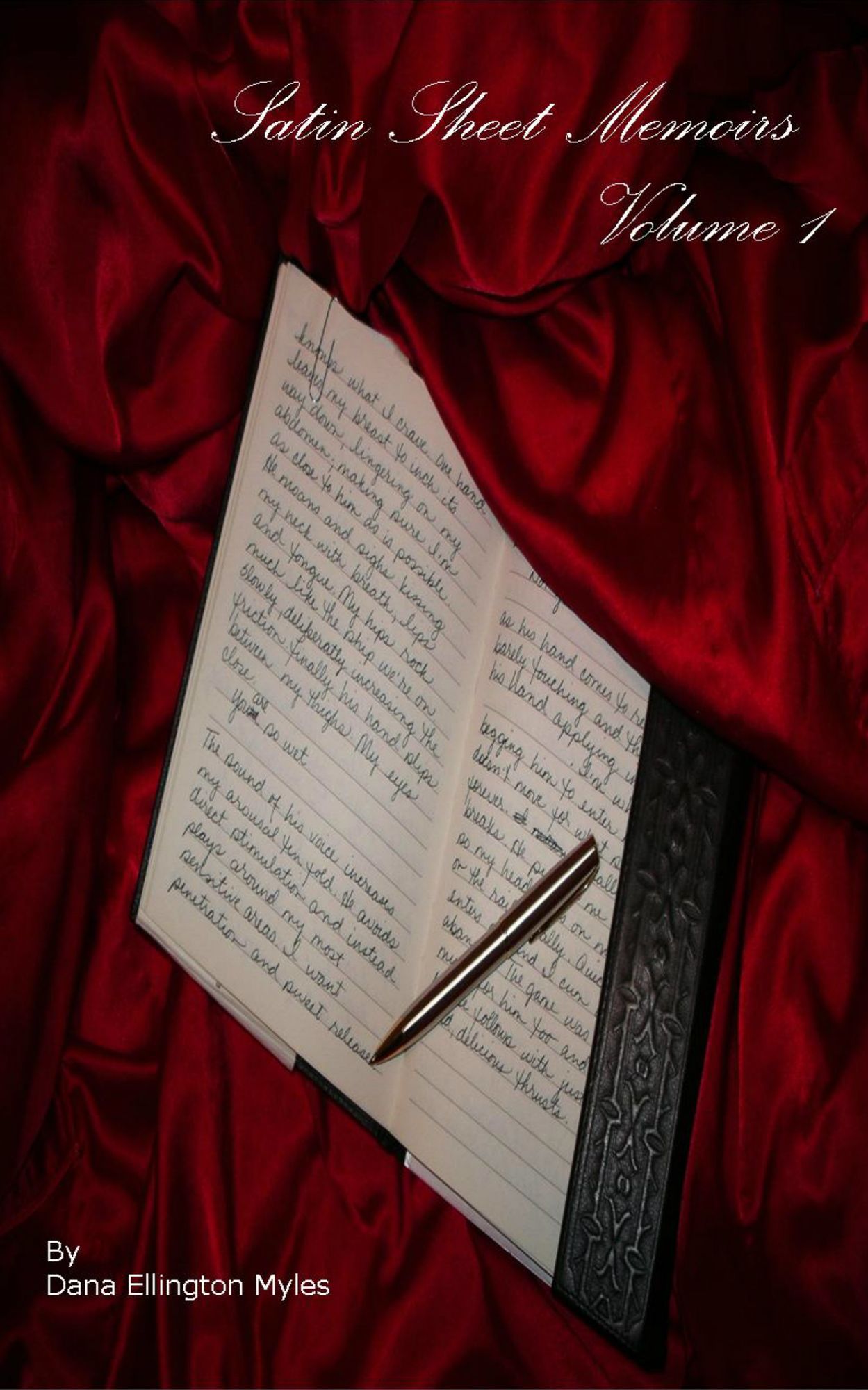 Satin Sheet Memoirs, Volume 1