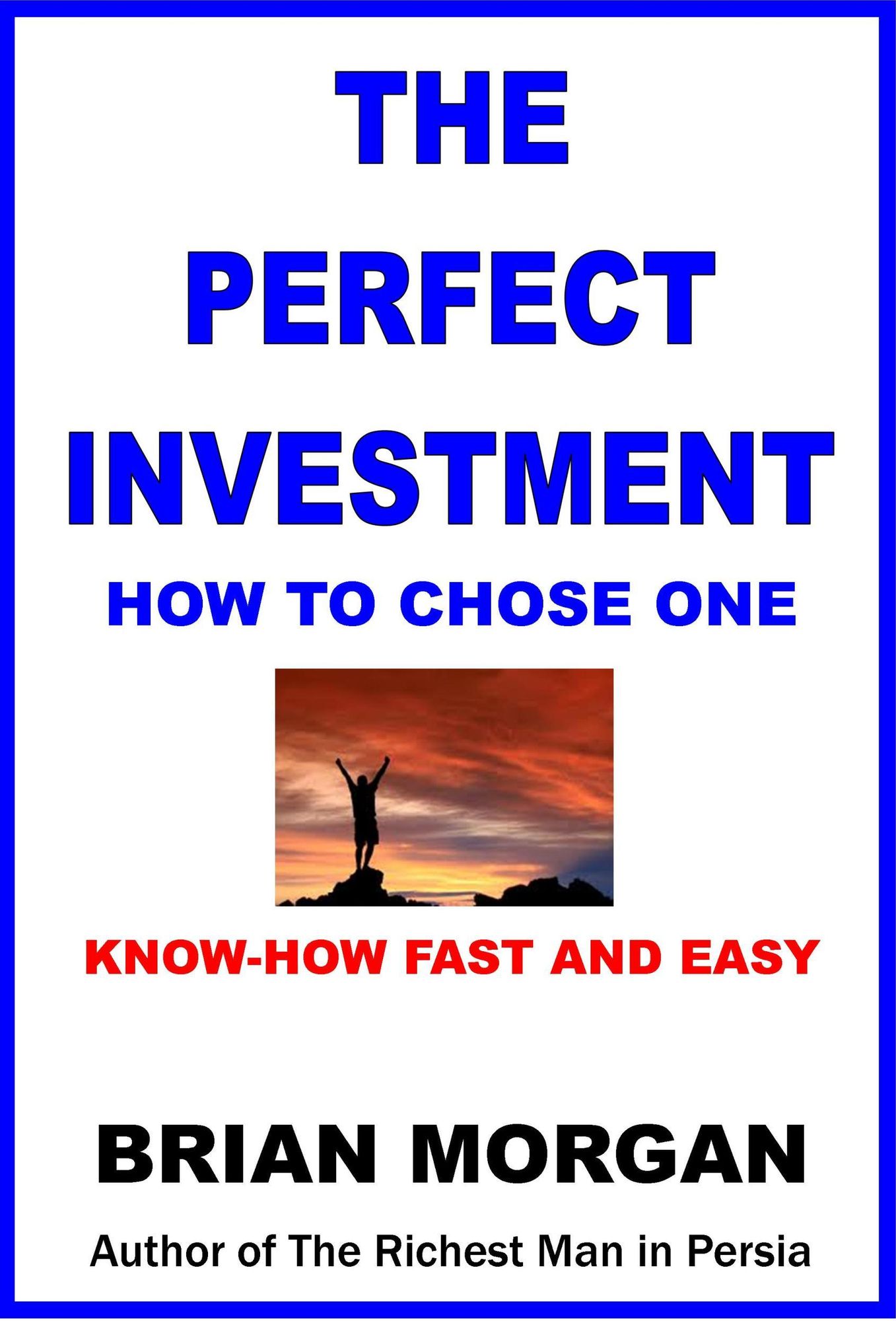The Perfect Investment: How to Chose One