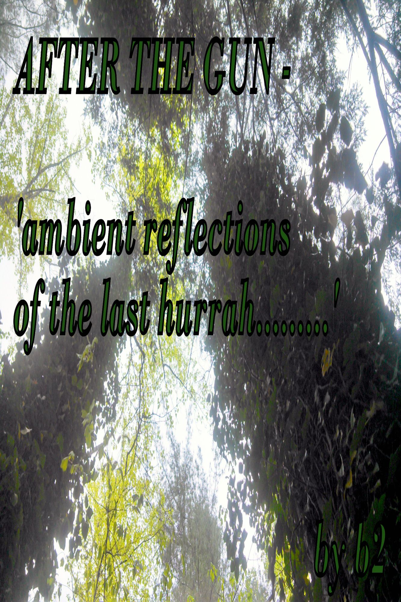 After The Gun: 'ambient reflections of the last hurrah'.........