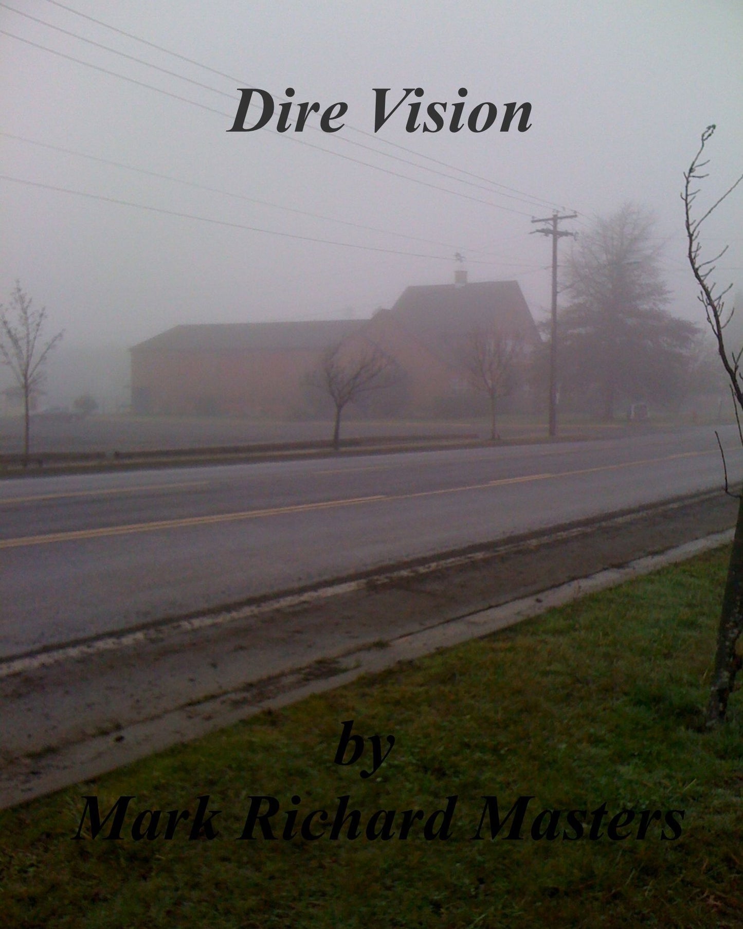 Dire Vision