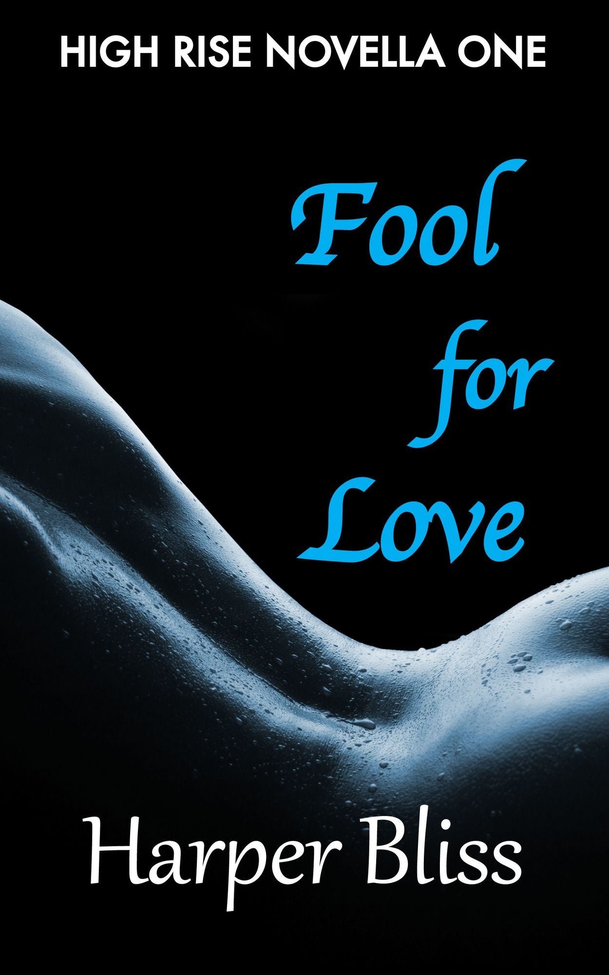 Fool for Love (High Rise Novella One)