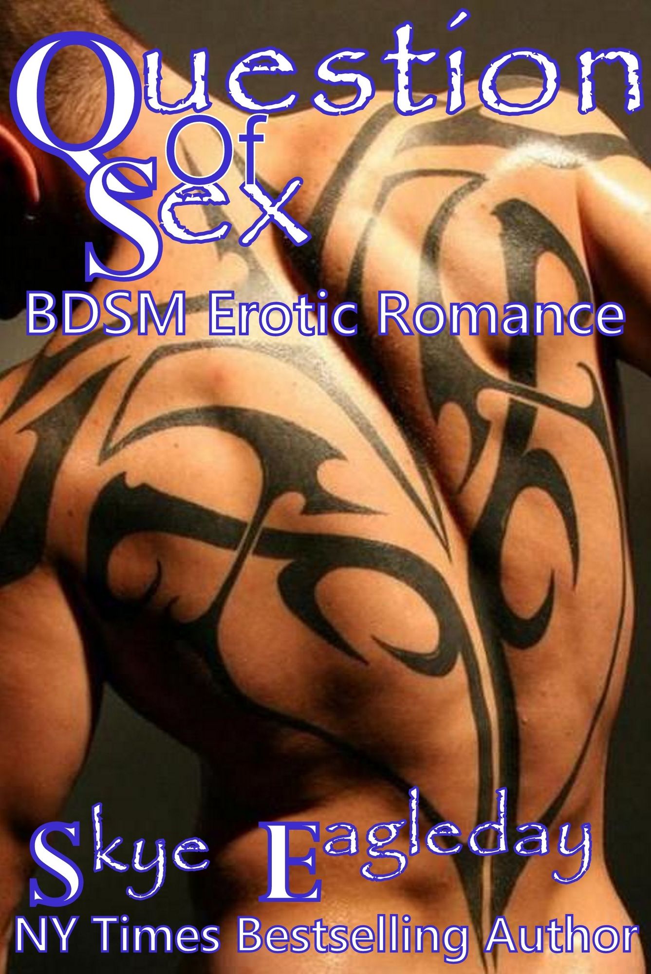 Question of Sex Erotic Romance