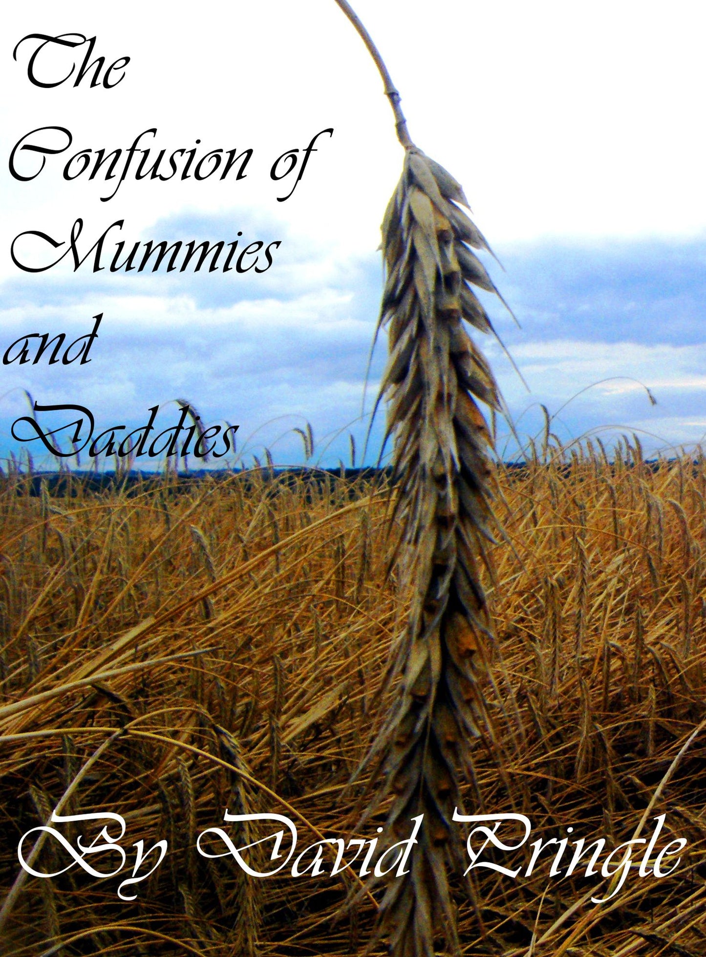 The Confusion of Mummies and Daddies