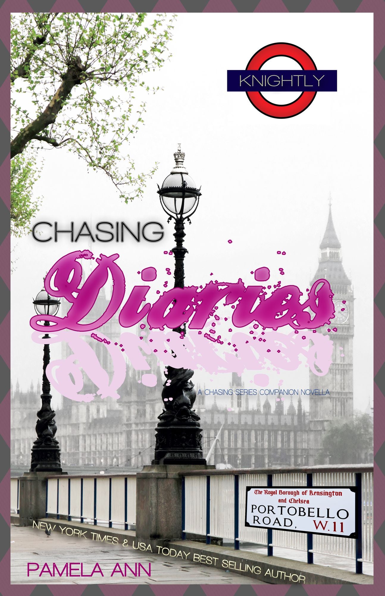 The Chasing Diaries (A Chasing Companion Novella)