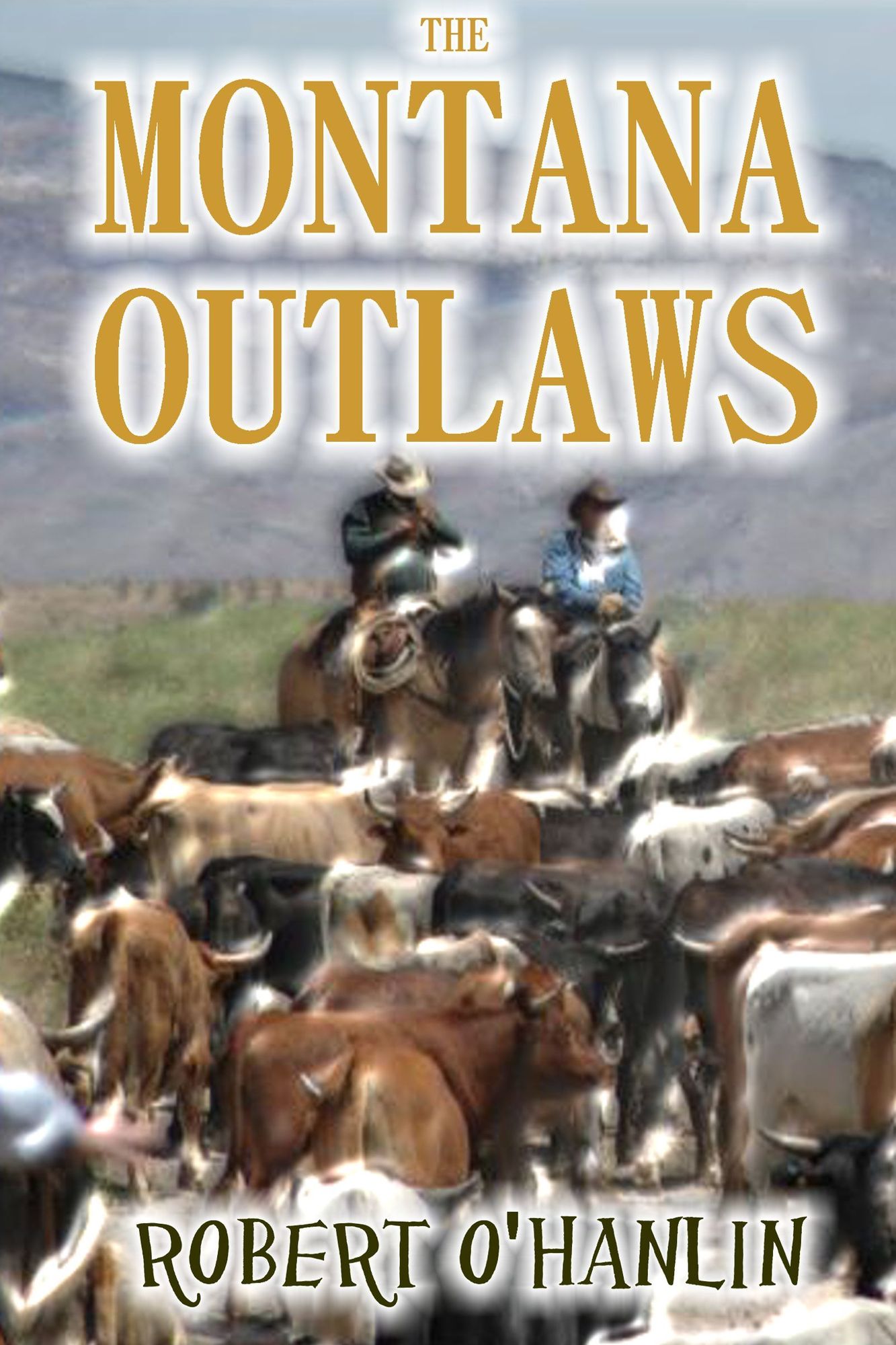 The Montana Outlaws