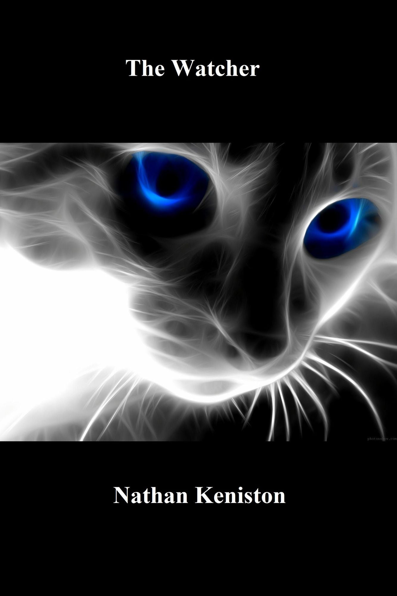 The Watcher