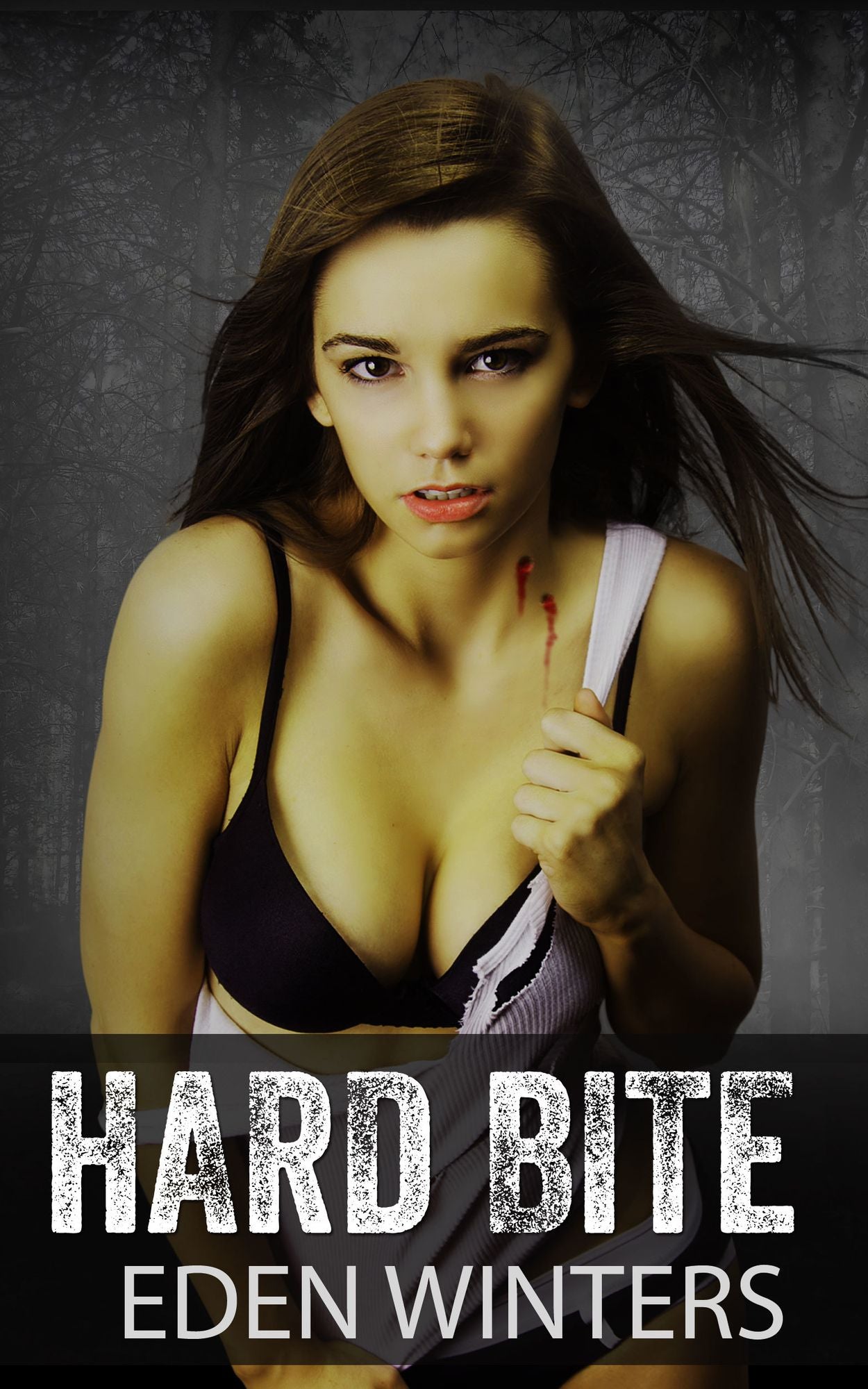 Forbidden Passion (Paranormal Erotica)