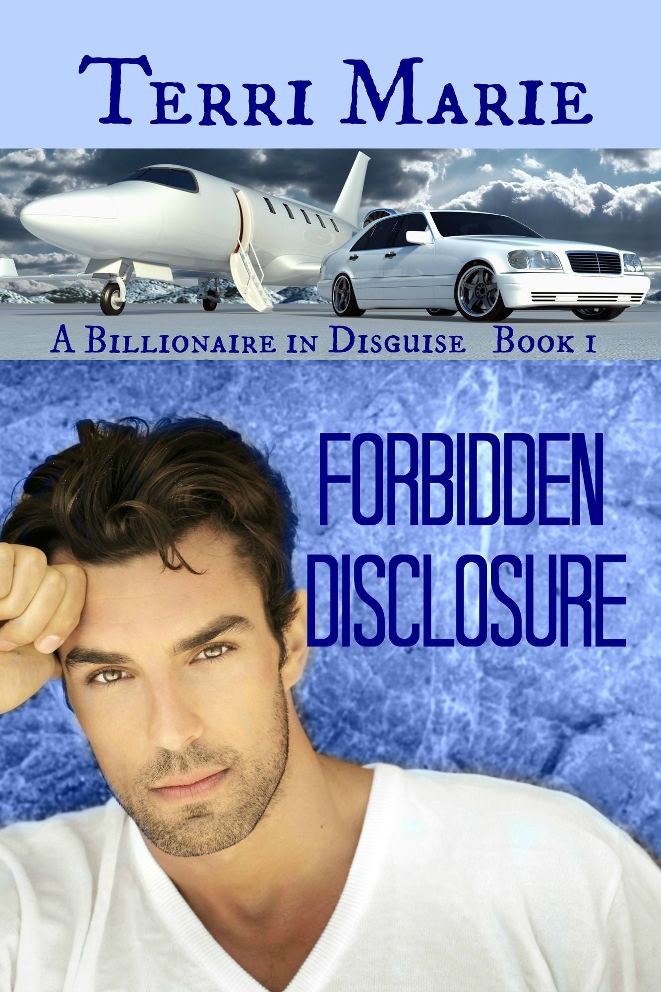 Forbidden Disclosure, A Billionaire in Disguise Series, Book 1