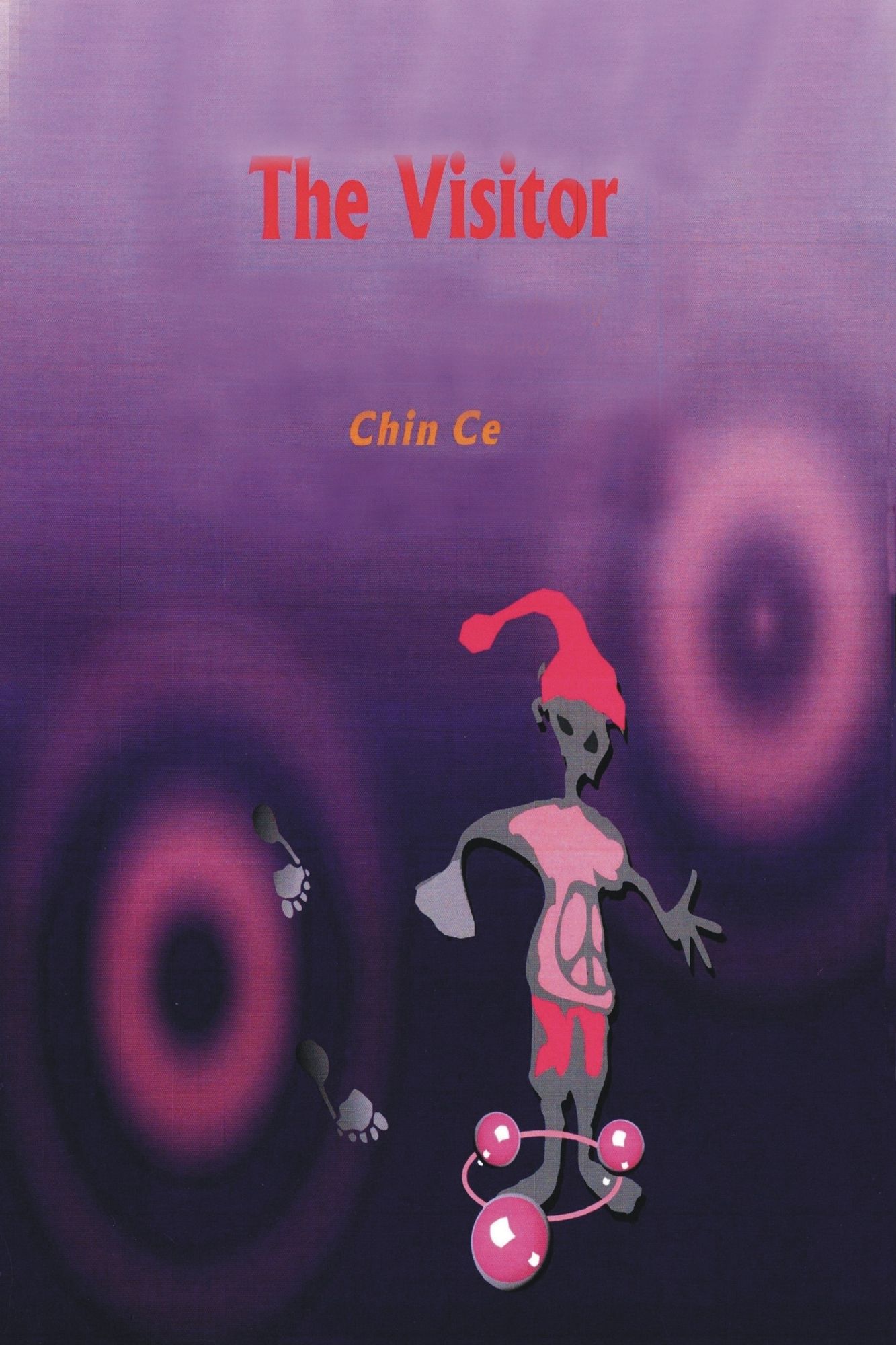 The Visitor