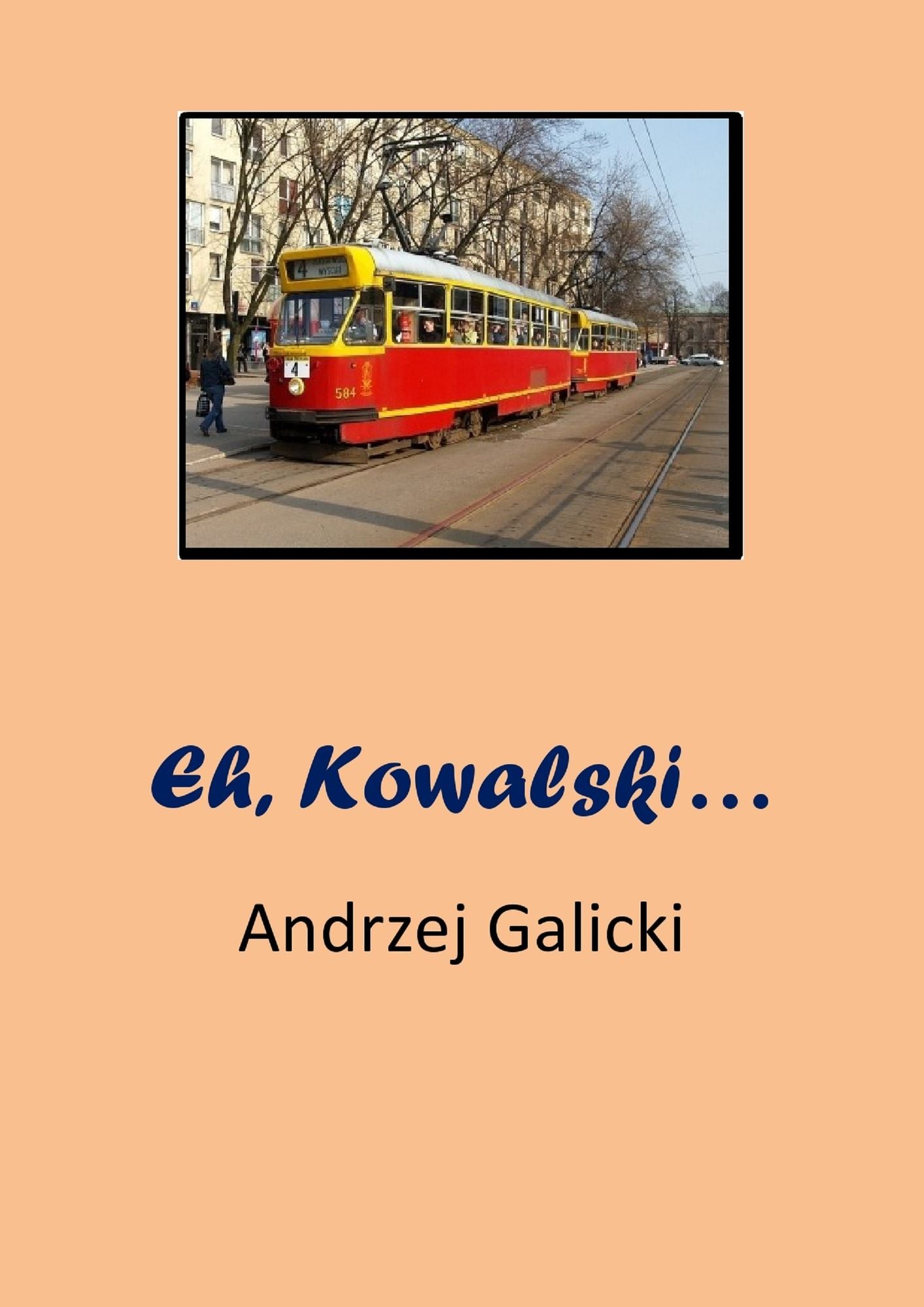 Eh, Kowalski... Mystery short story