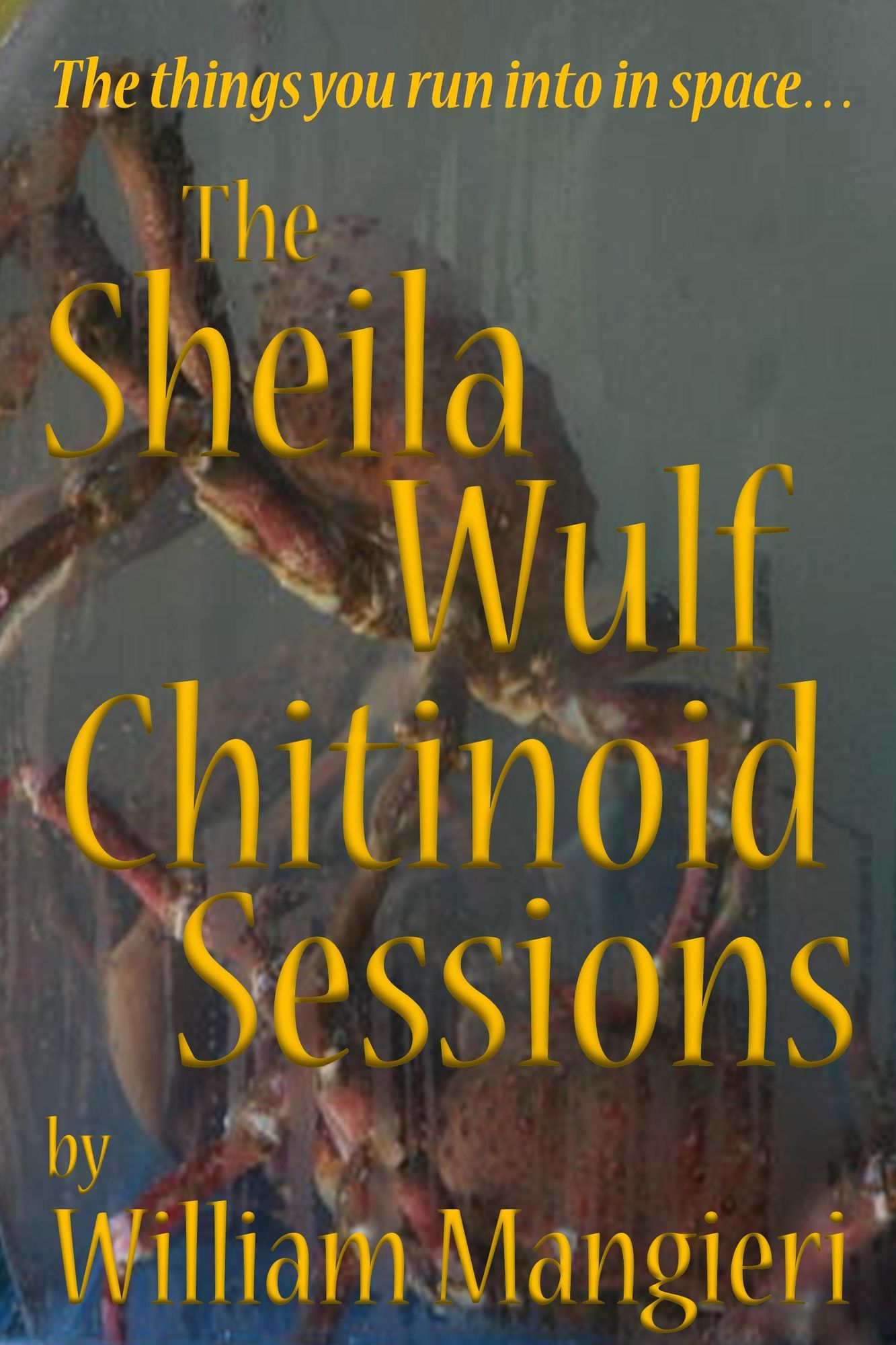 The Sheila Wulf Chitinoid Sessions