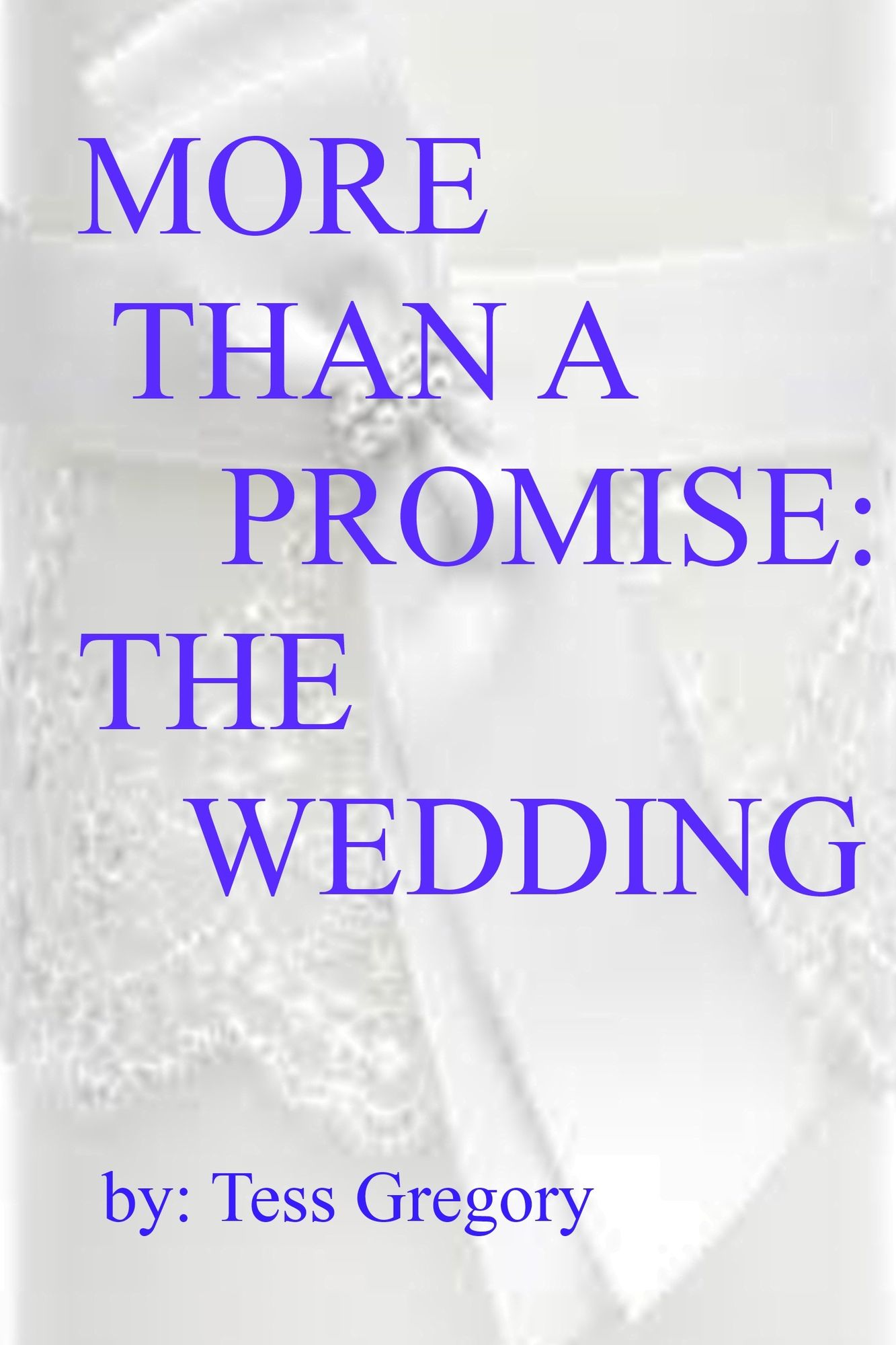 More Than A Promise: The Wedding (2nd book in a 3 book series)