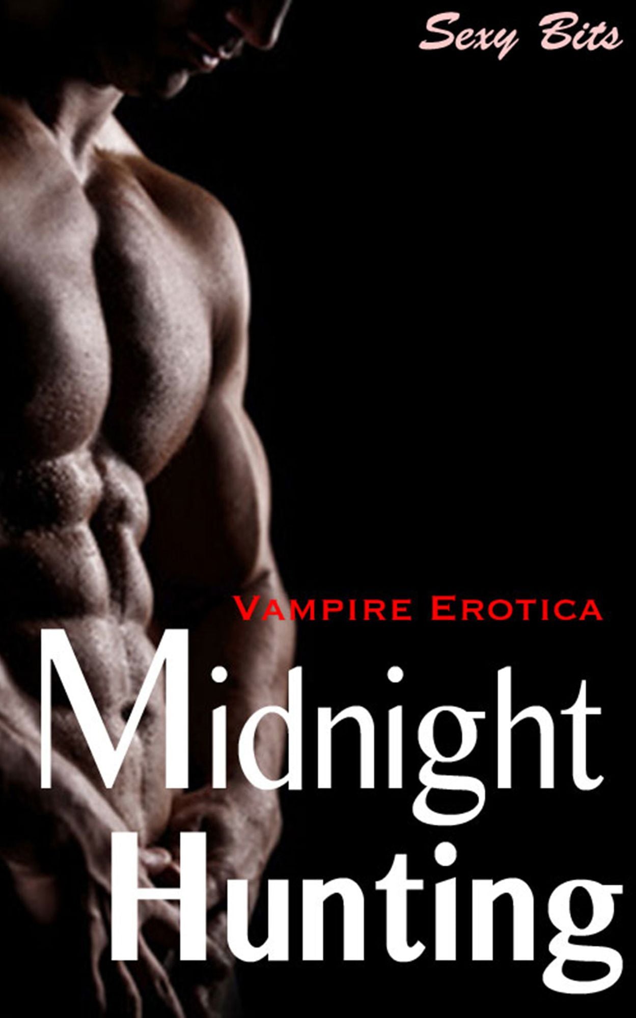 Vampire Erotica: Midnight Hunting