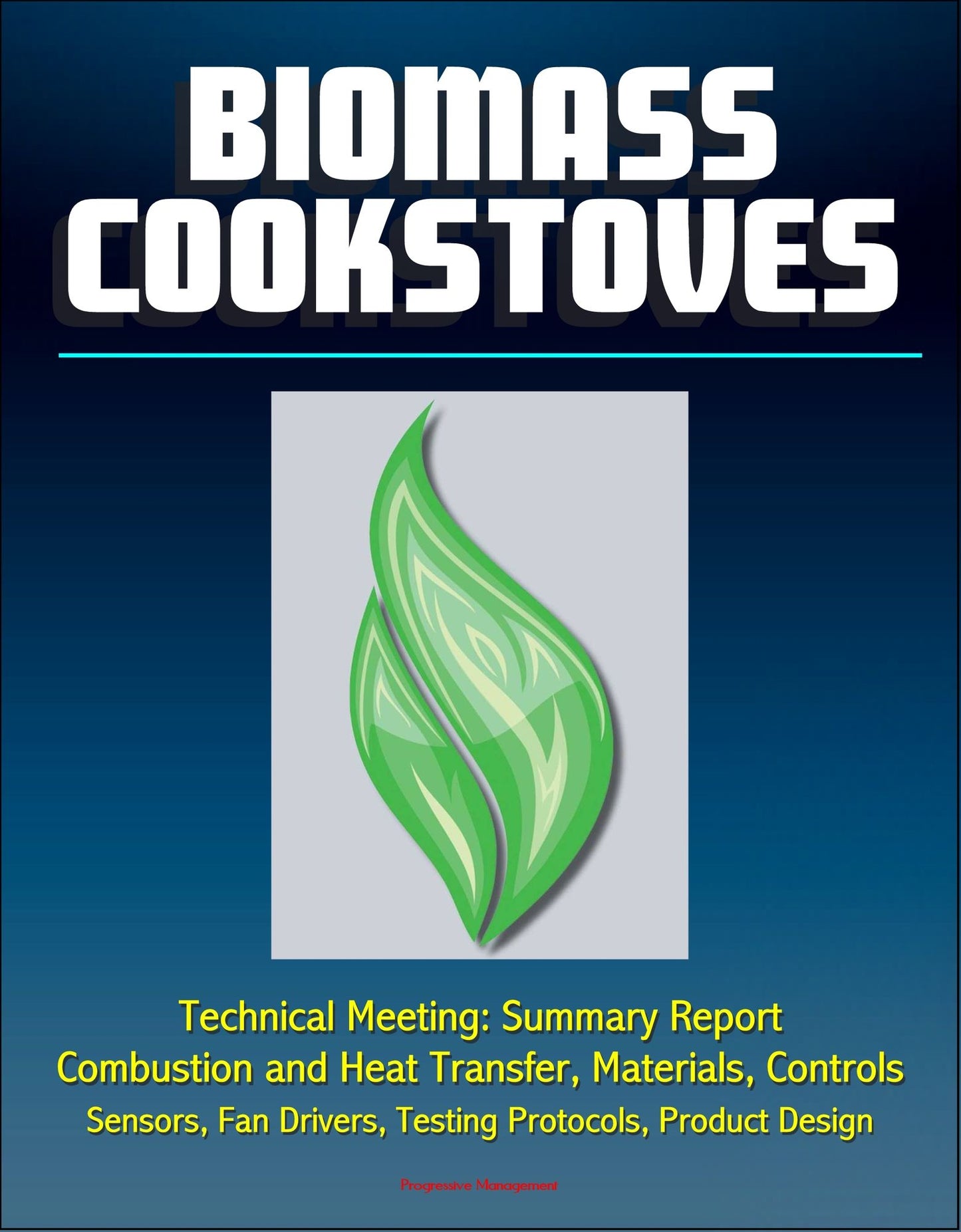 Biomass Cookstoves Technical Meeting: Summary Report - Combustion and Heat Transfer, Materials, Controls, Sensors, Fan Drivers, Testing Protocols, Product Design