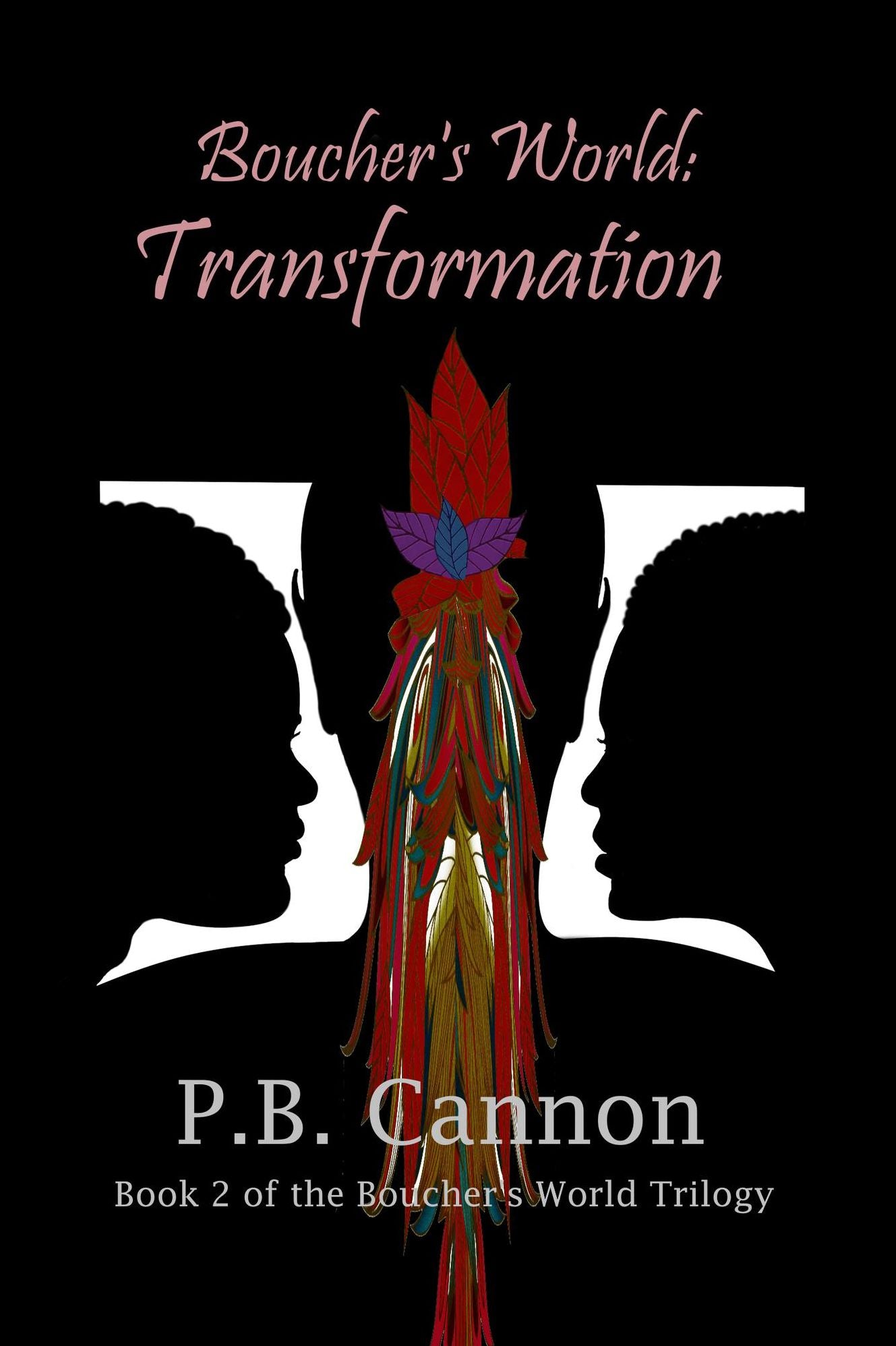 Boucher's World: Transformation