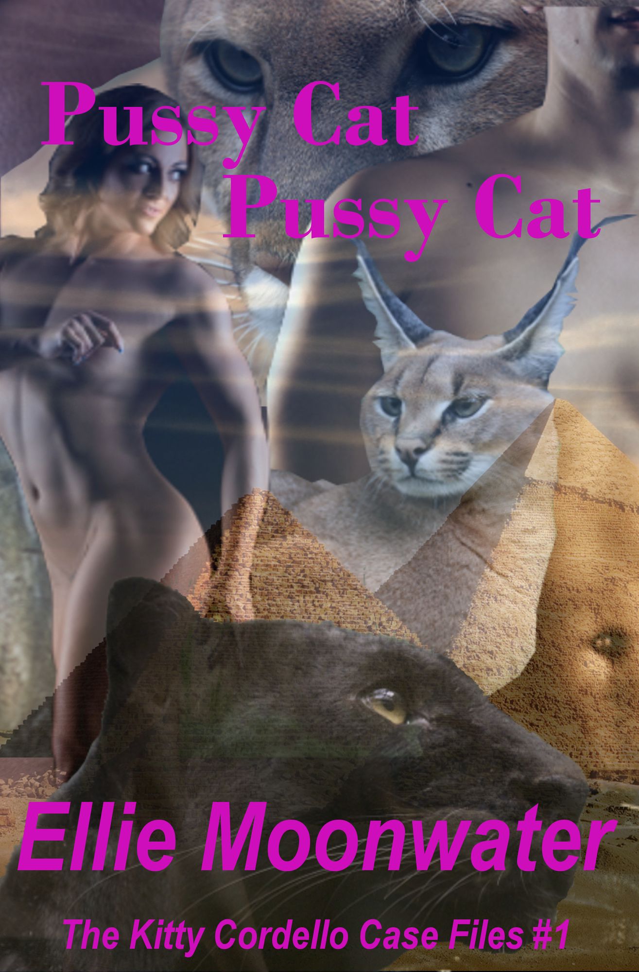 Pussy Cat, Pussy Cat