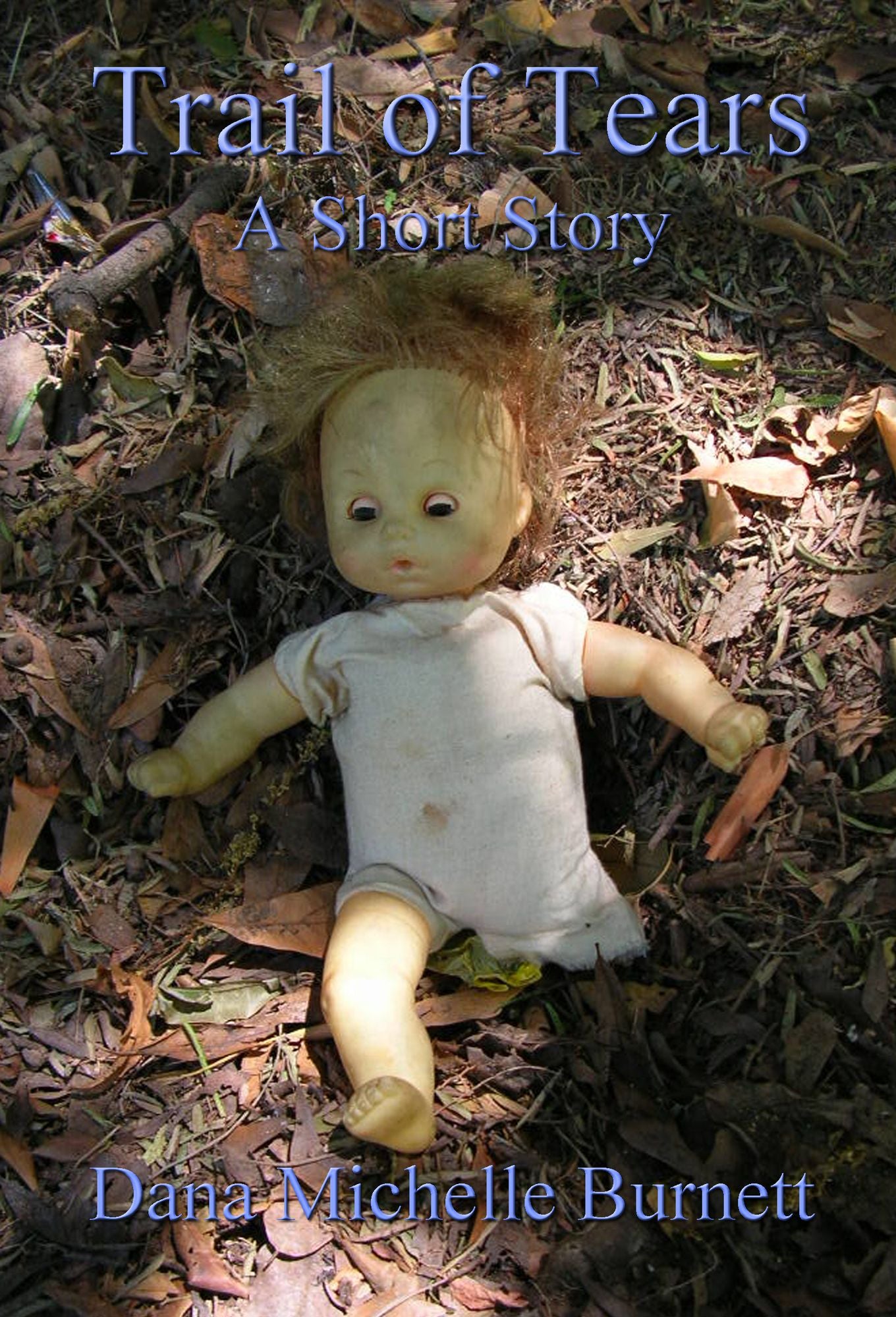 Trail of Tears, A Short Story