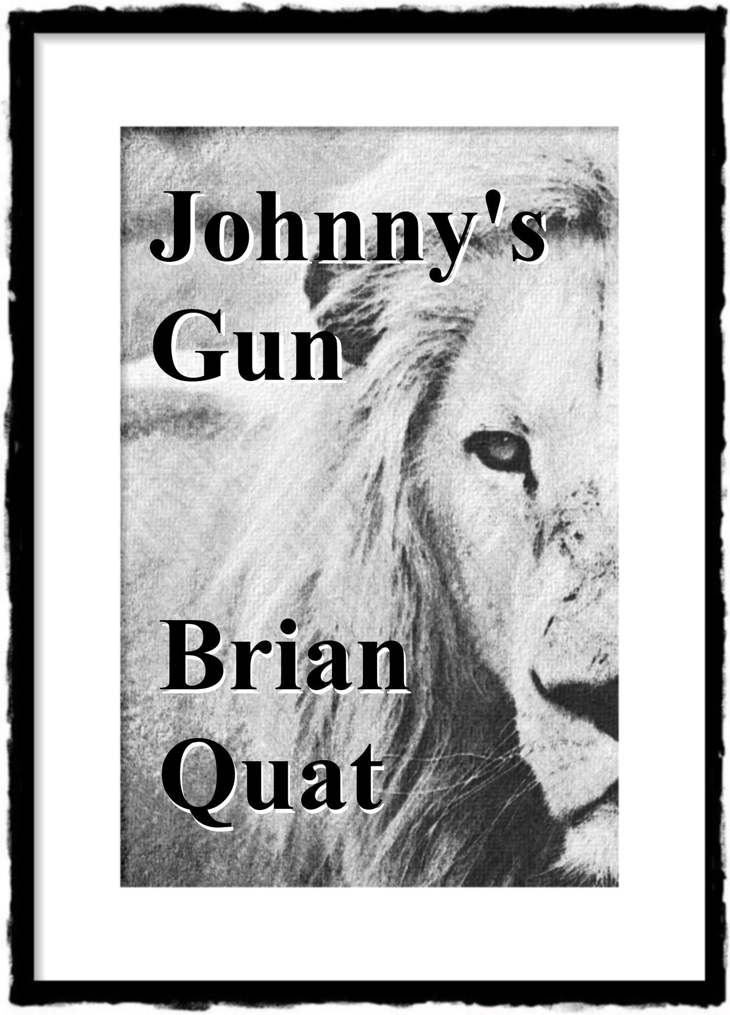 Johnny's Gun
