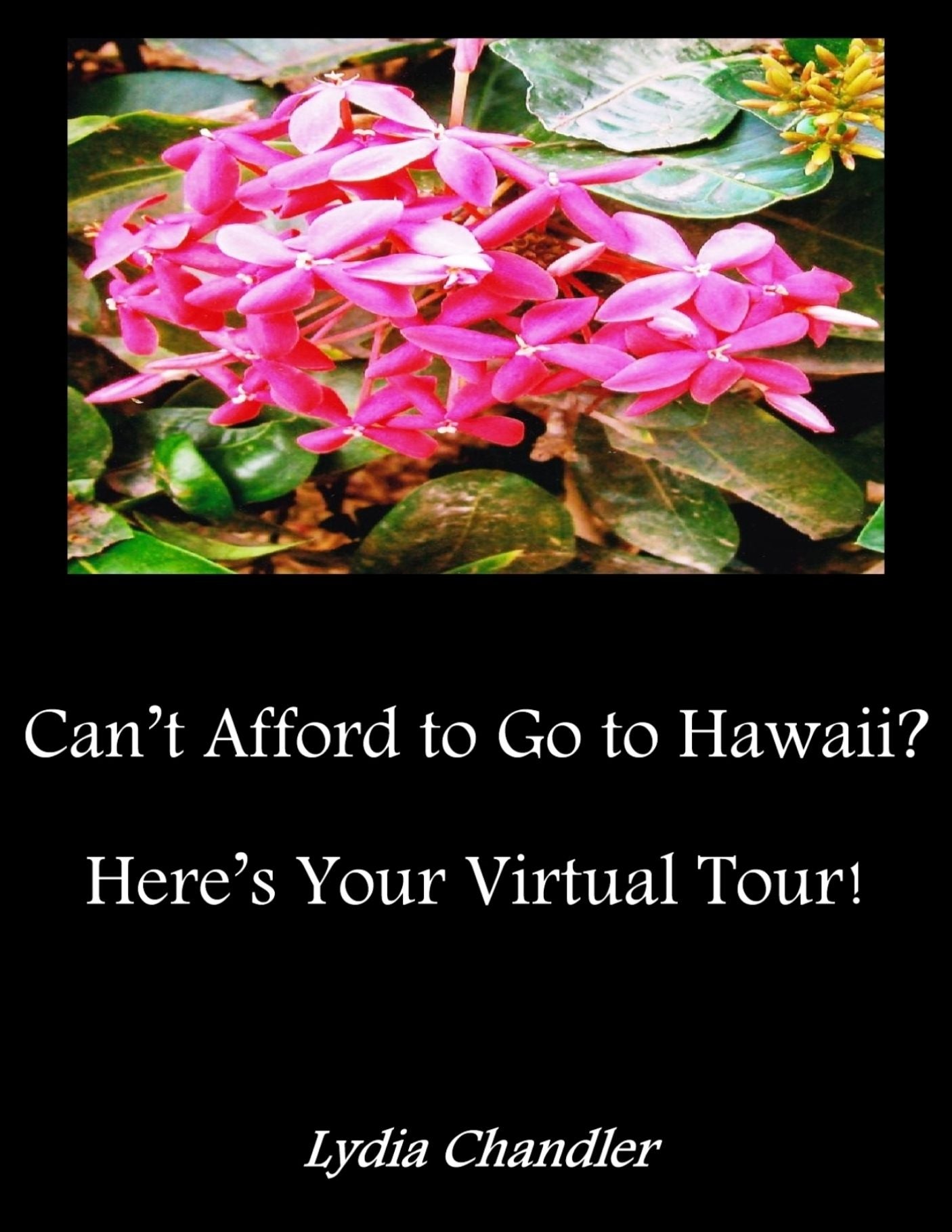 Can't Afford To Go To Hawaii? Here's Your Virtual Tour!