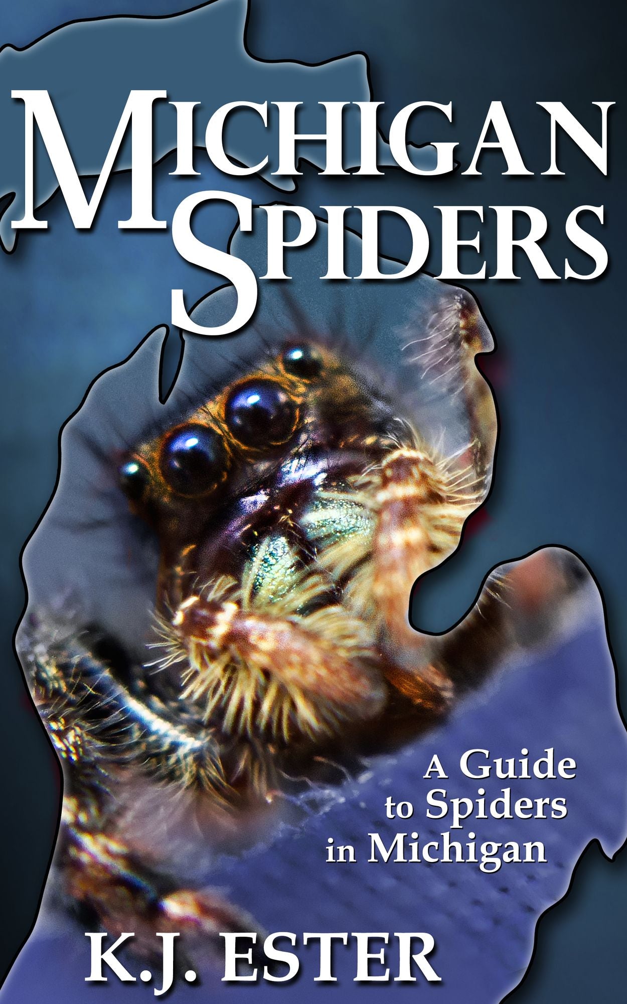 Michigan Spiders