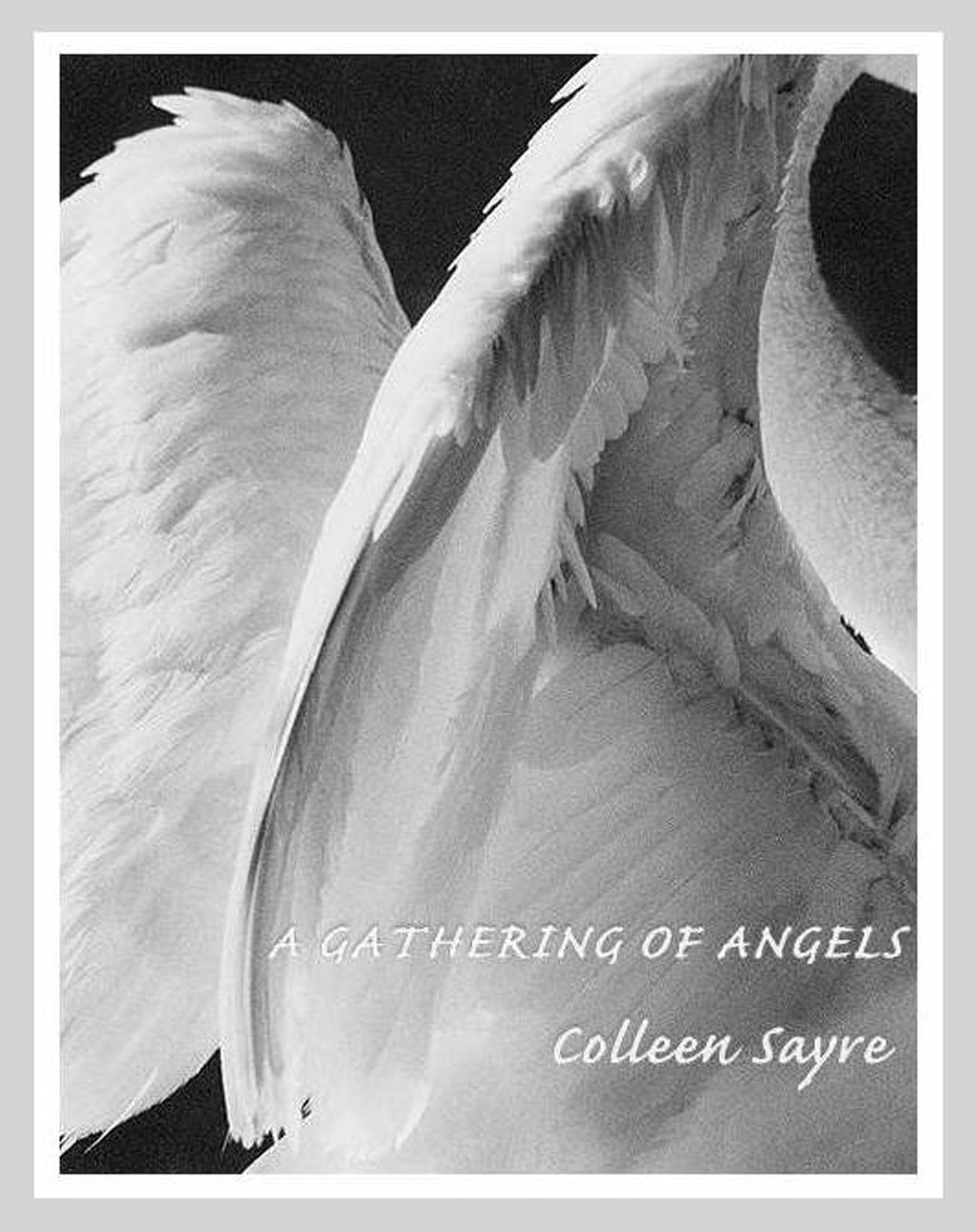 A Gathering of Angels