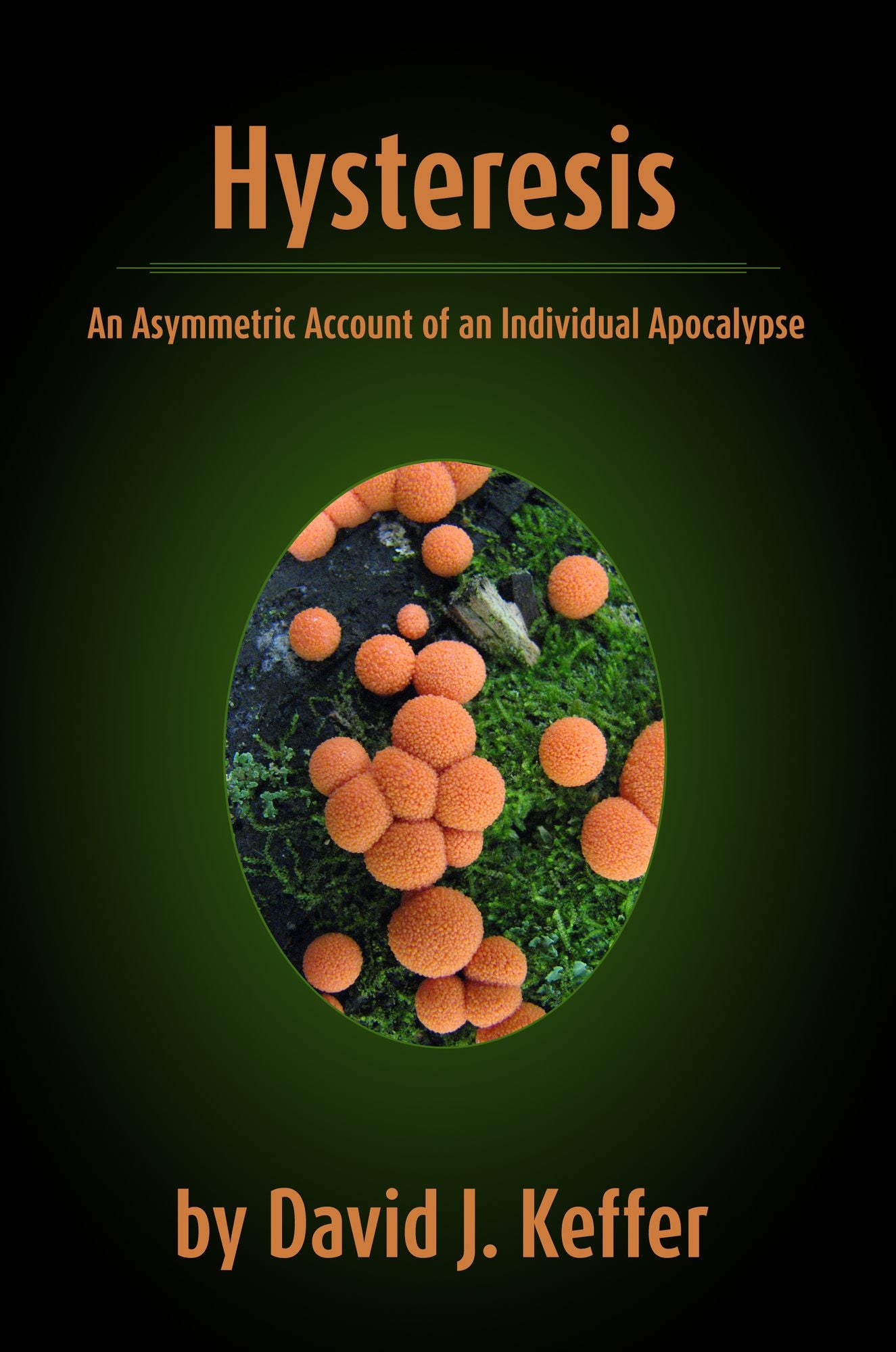 Hysteresis: An Asymmetric Account of an Individual Apocalypse