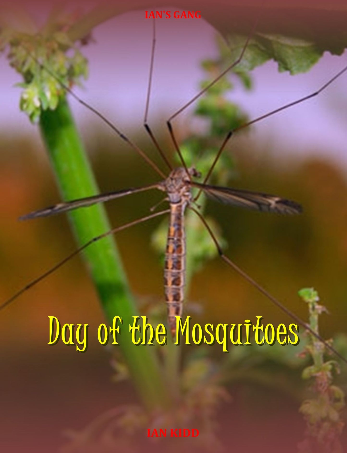 Ian's Gang: Day of the Mosquitoes