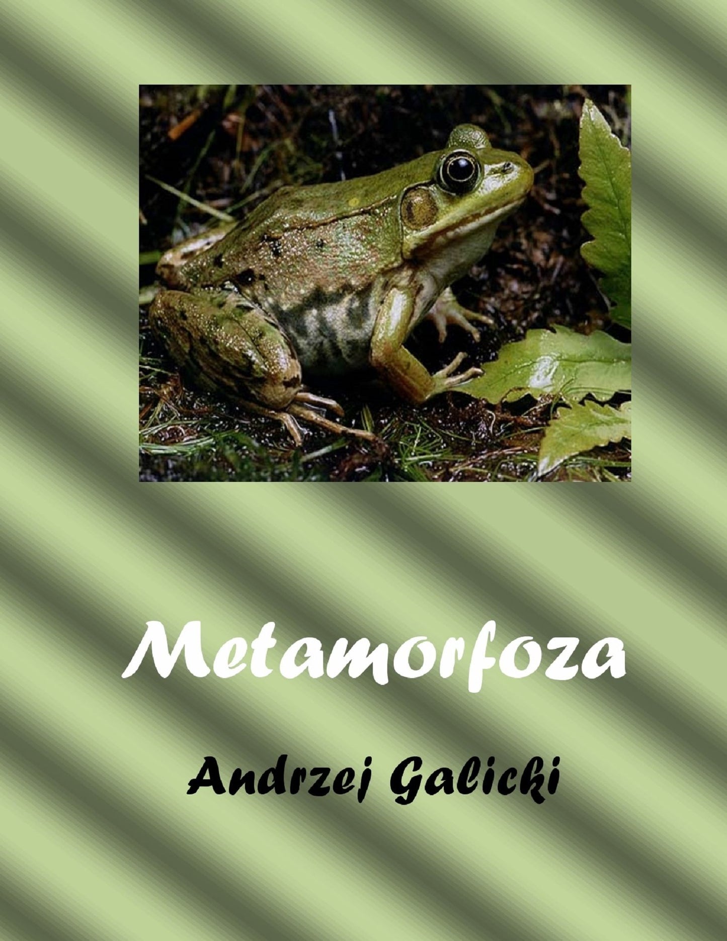 Metamorfoza: opowiadanie po polsku