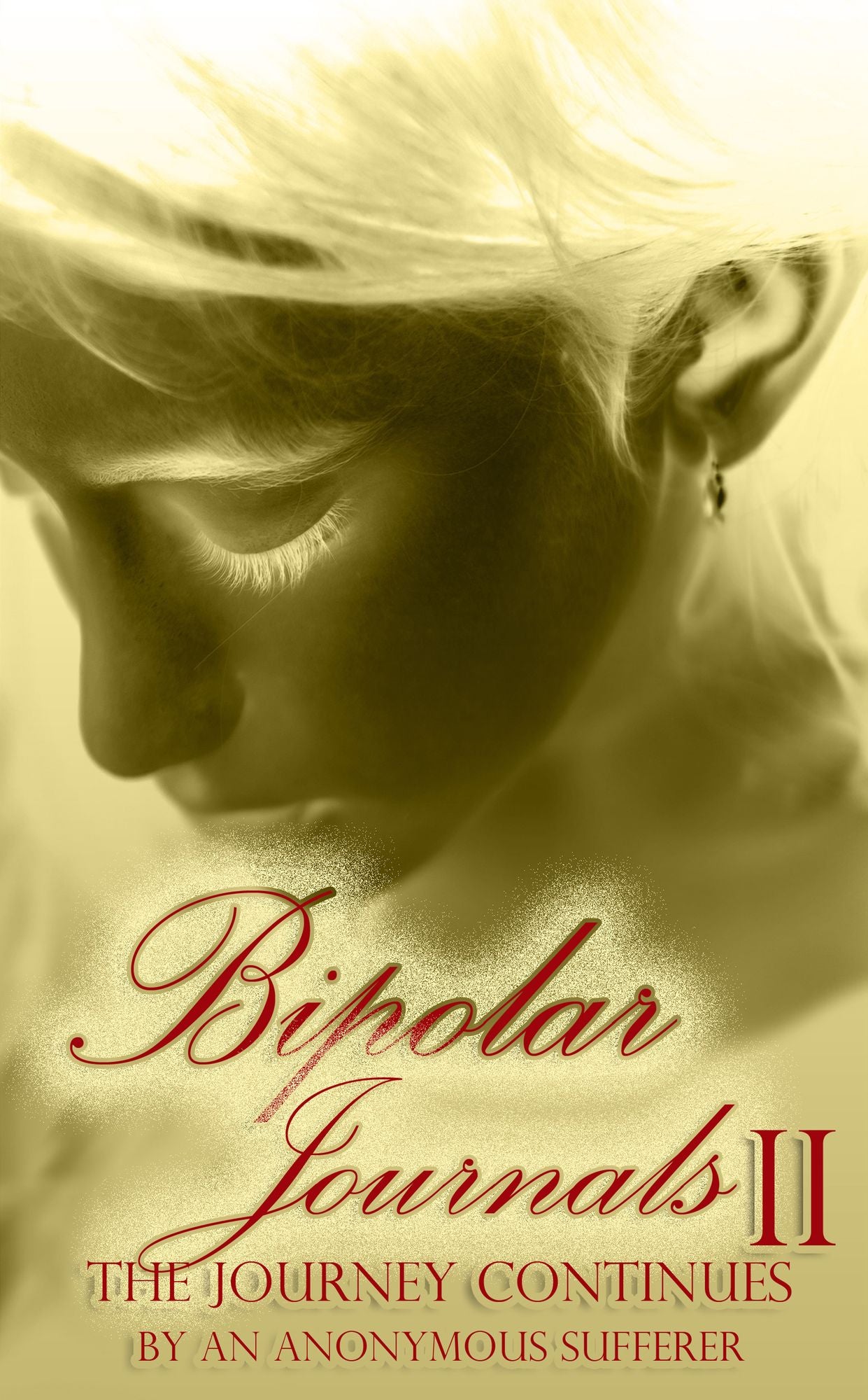 Bipolar Journals II