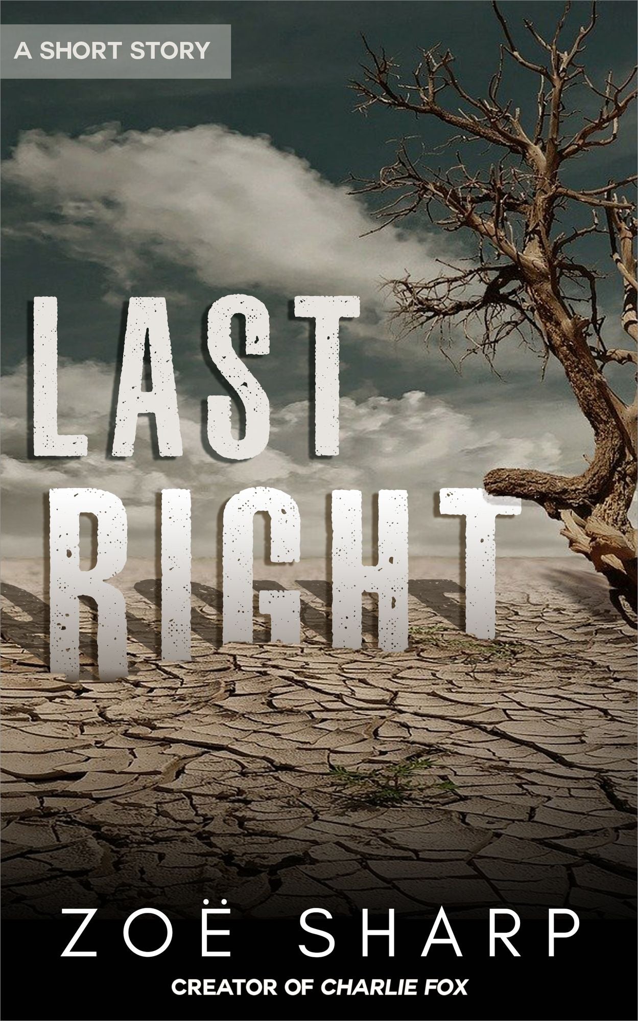 Last Right: a short story