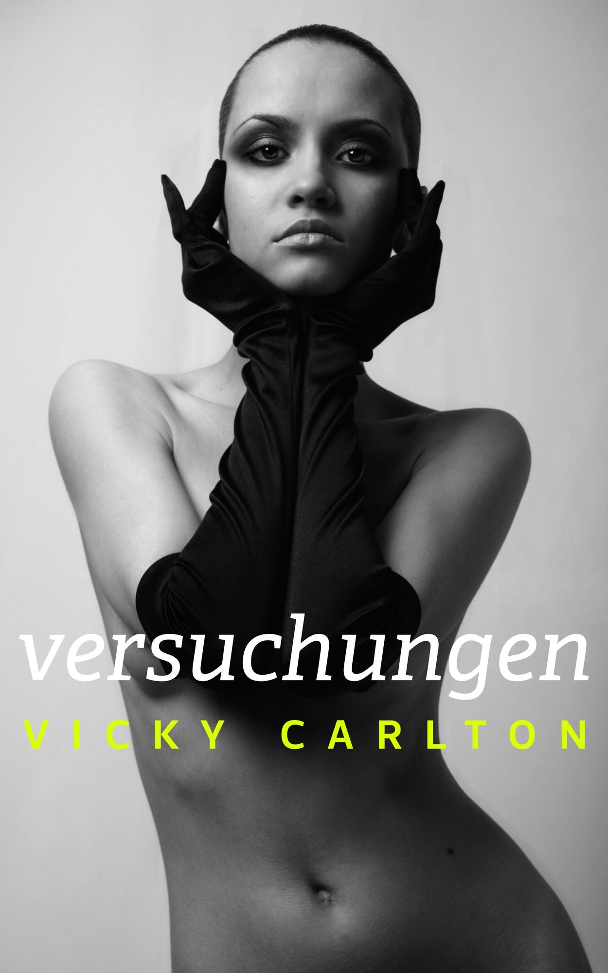 Versuchungen (erotische Geschichten - Sonderedition)
