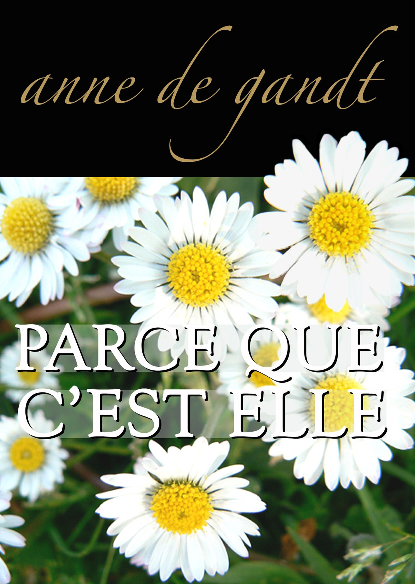 Parce que c'est elle (Saison 3)