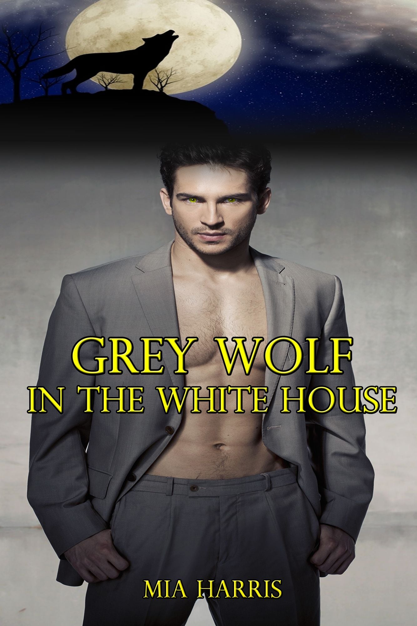 Grey Wolf in the White House: Part 2 (Paranormal BBW Erotic Romance)