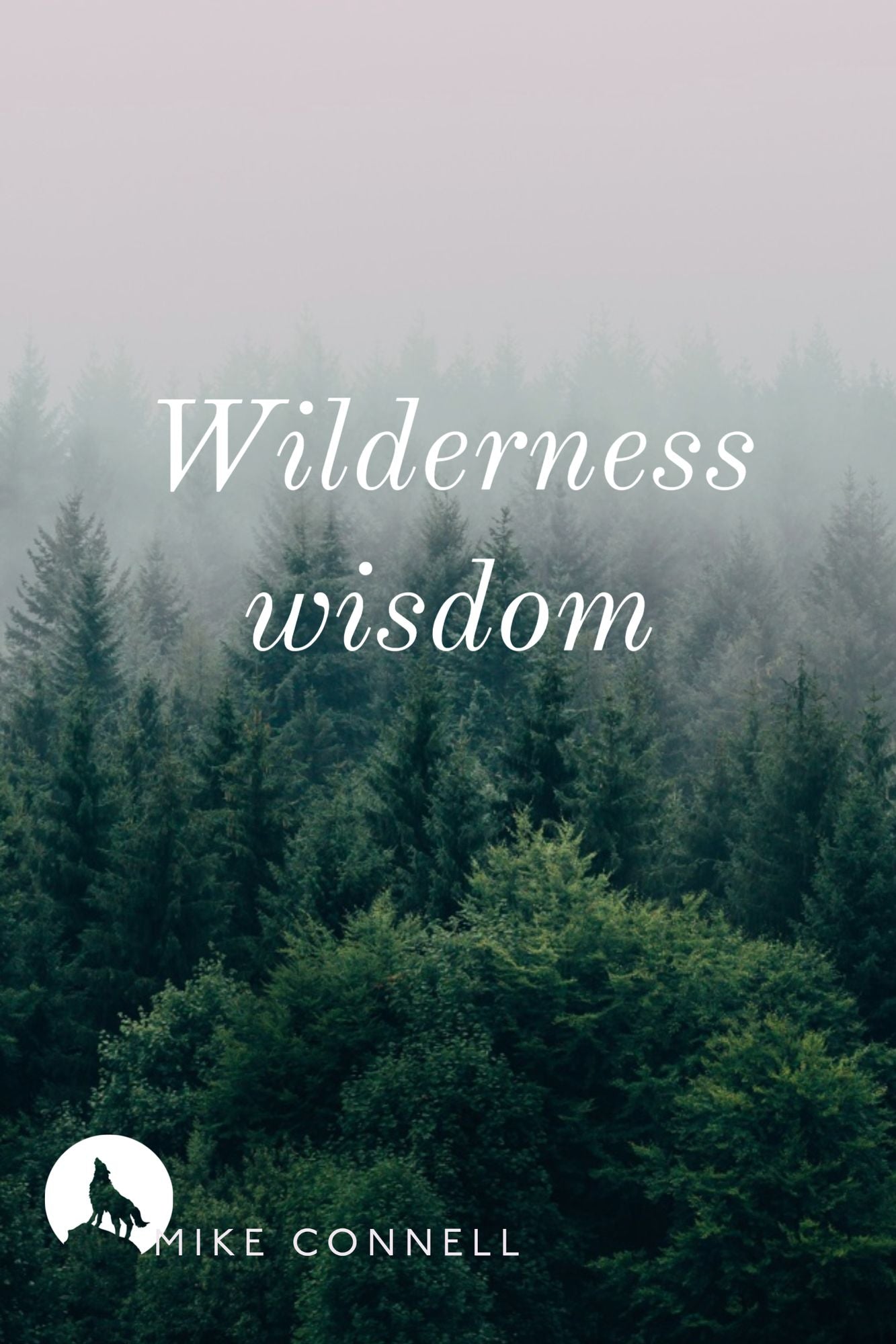 Wilderness Wisdom (4 sermons)